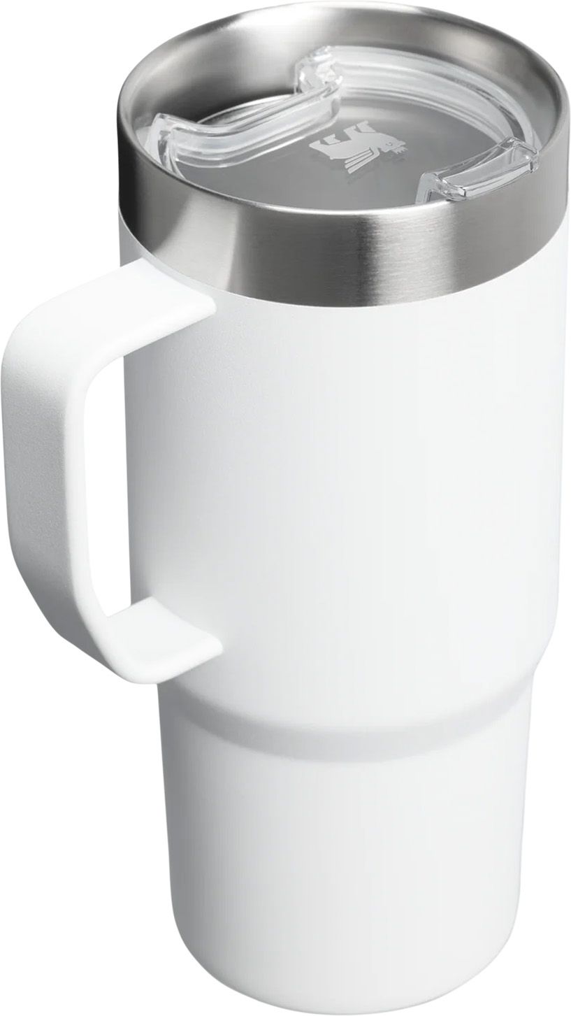 Stanley 16 oz. Everyday Suburban Mug product image