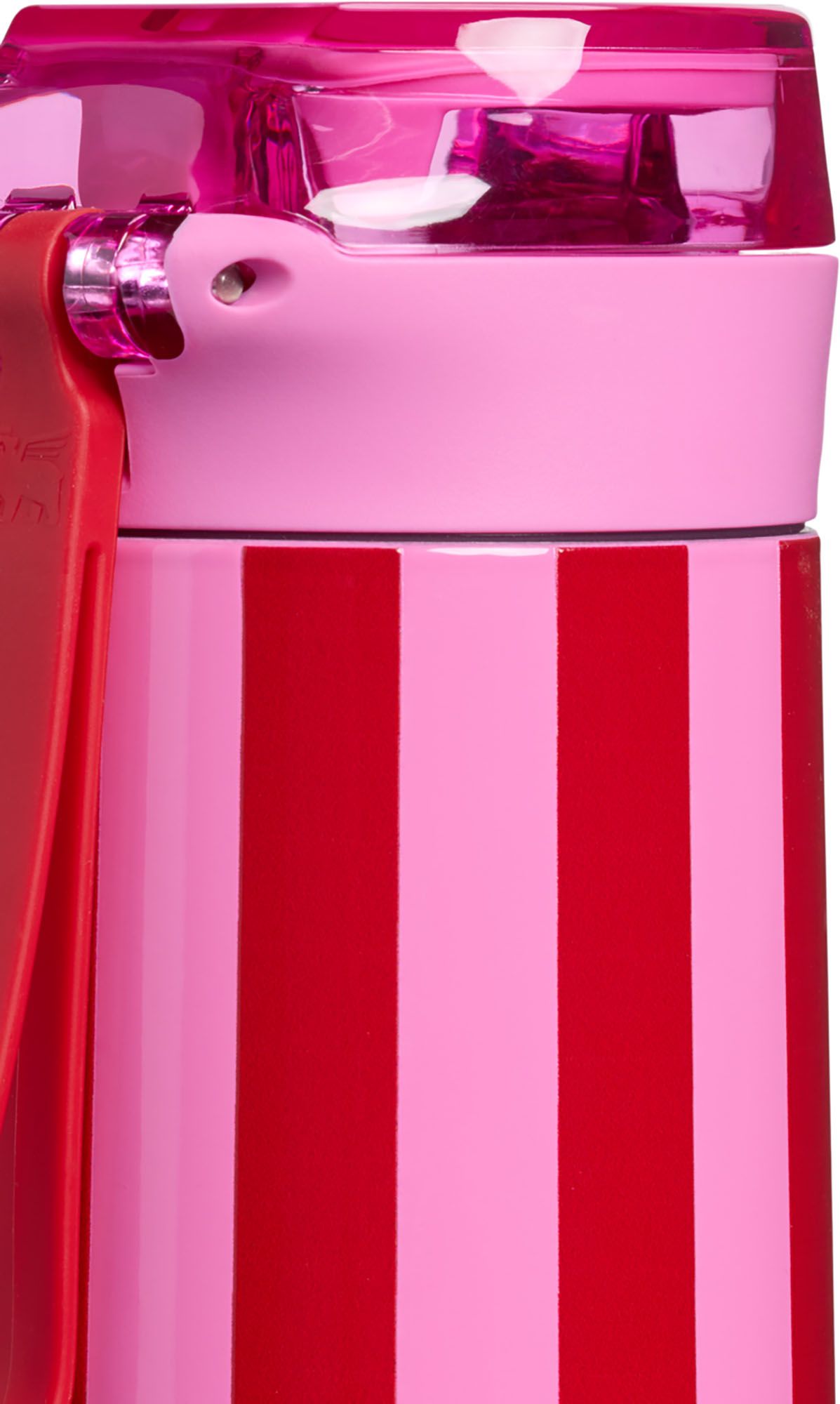 Stanley 20 oz. Flowstate Spring Bottle - Holiday product image