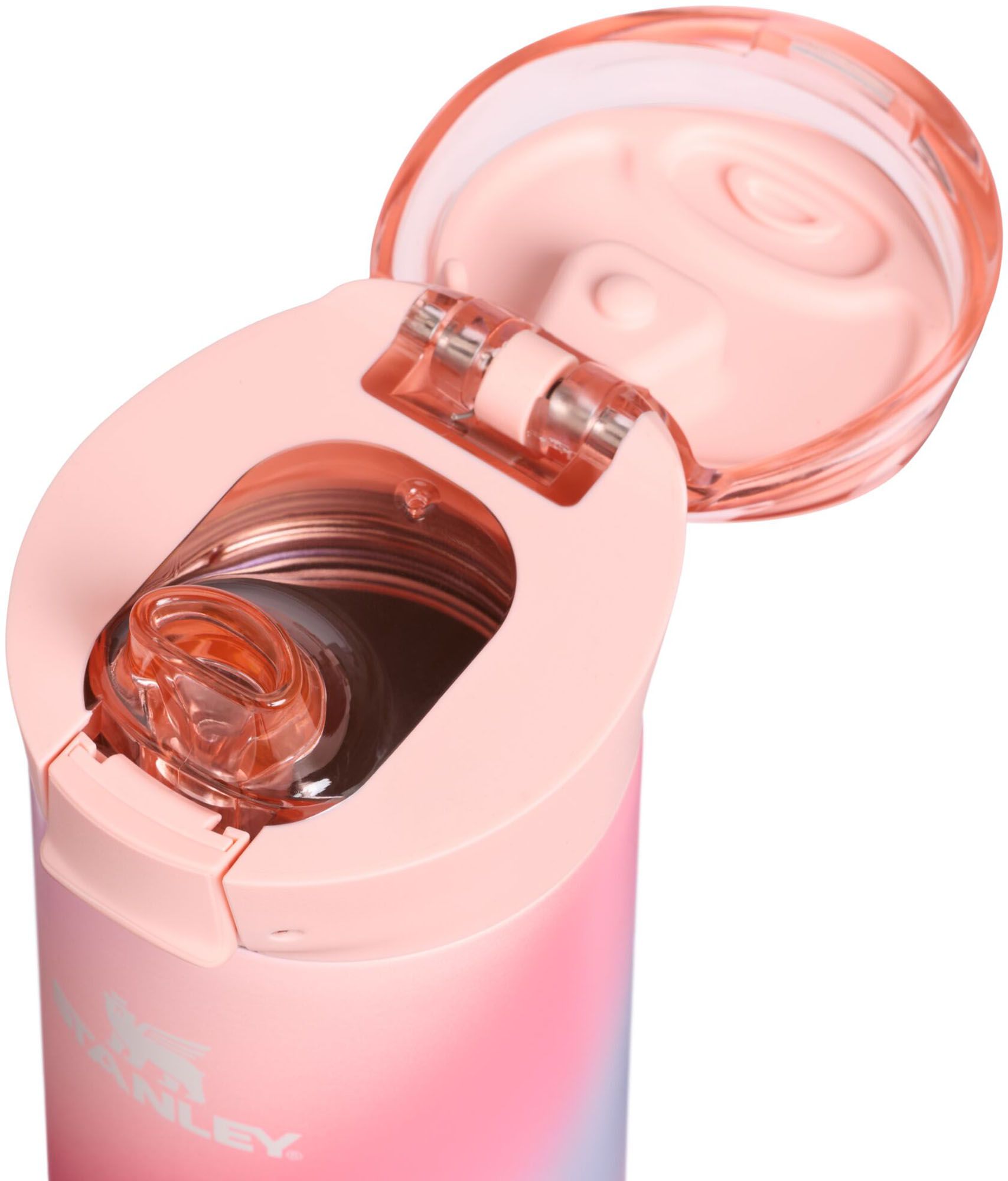 Stanley 20 oz. Flowstate Spring Bottle - Infinite Potential product image