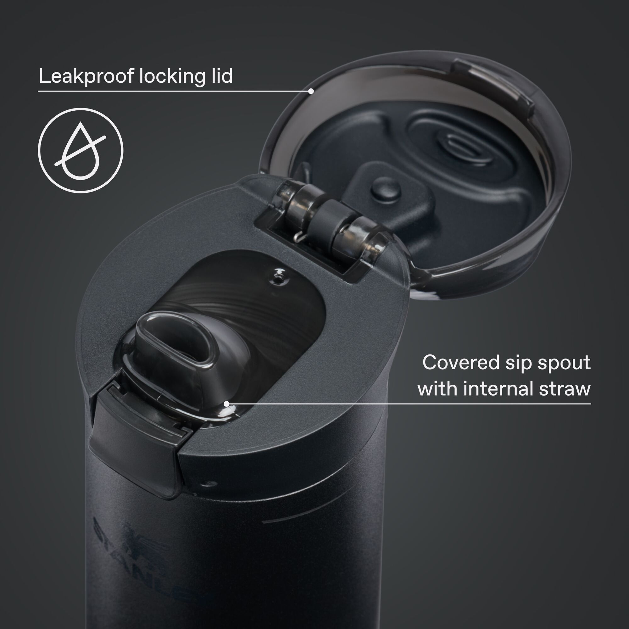 Stanley 20 oz. Flowstate Spring Bottle product image