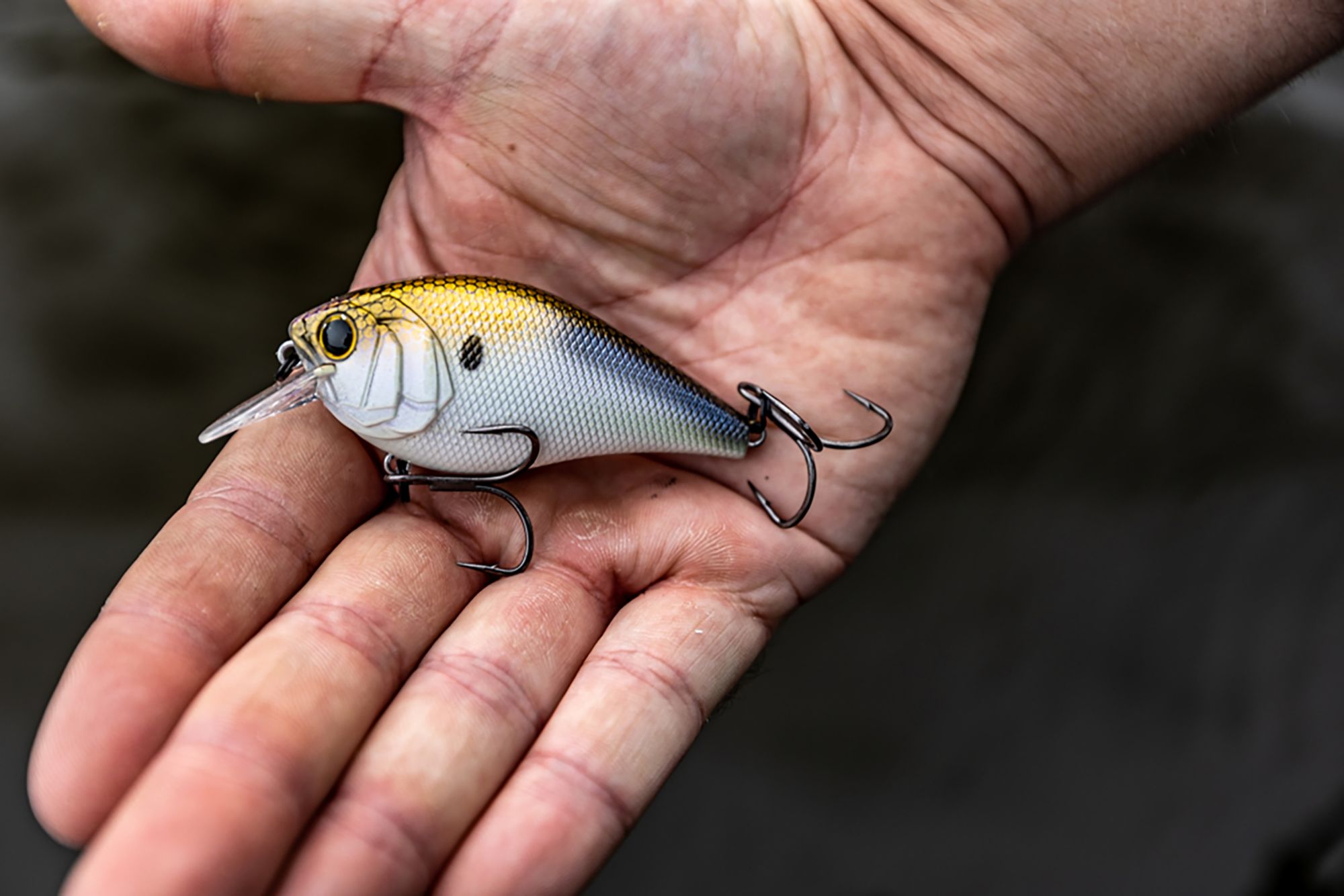 6th Sense Crush Series Faint Rattle Crankbait product image