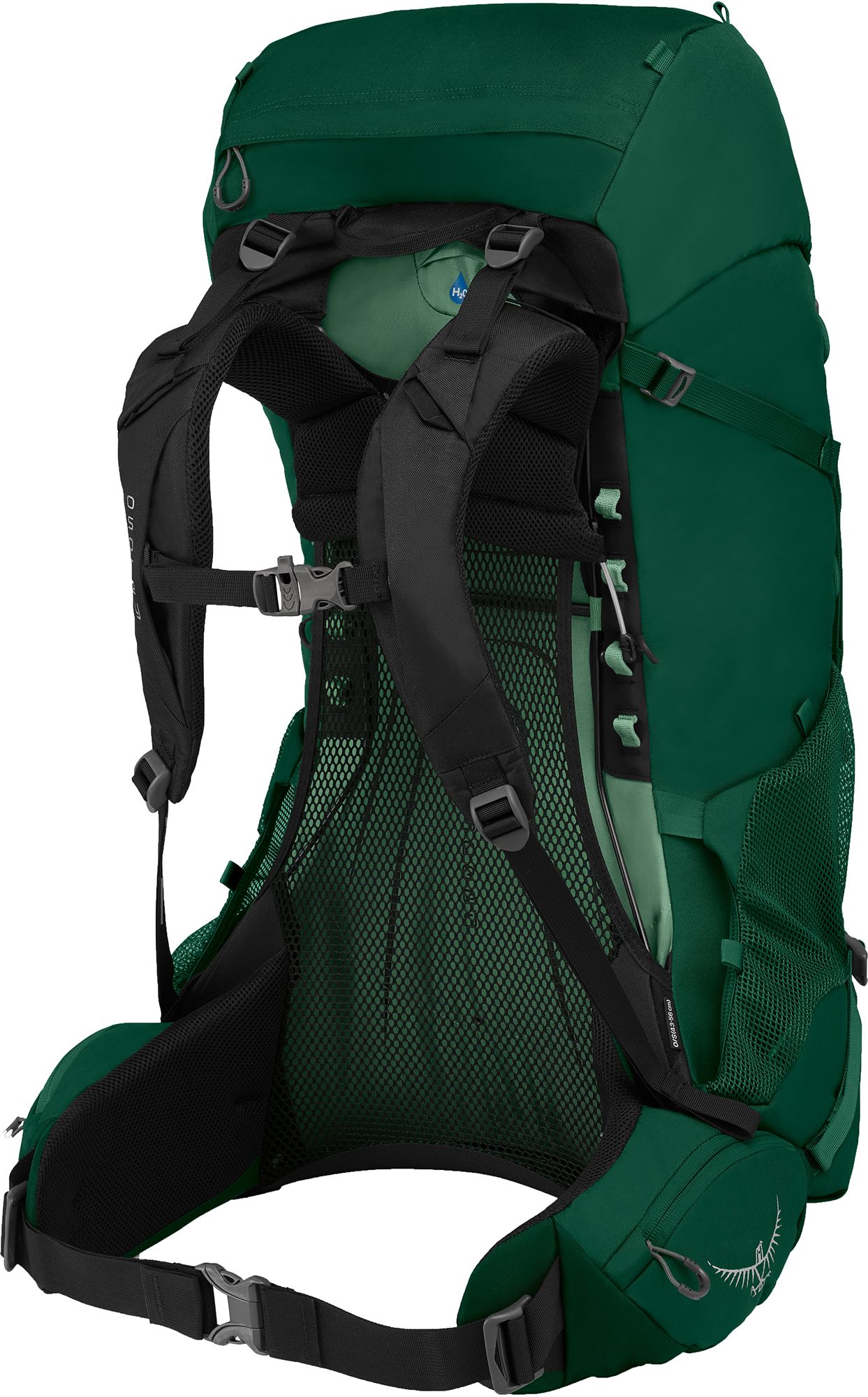 Osprey Rook 50 Backpacking Bag product image