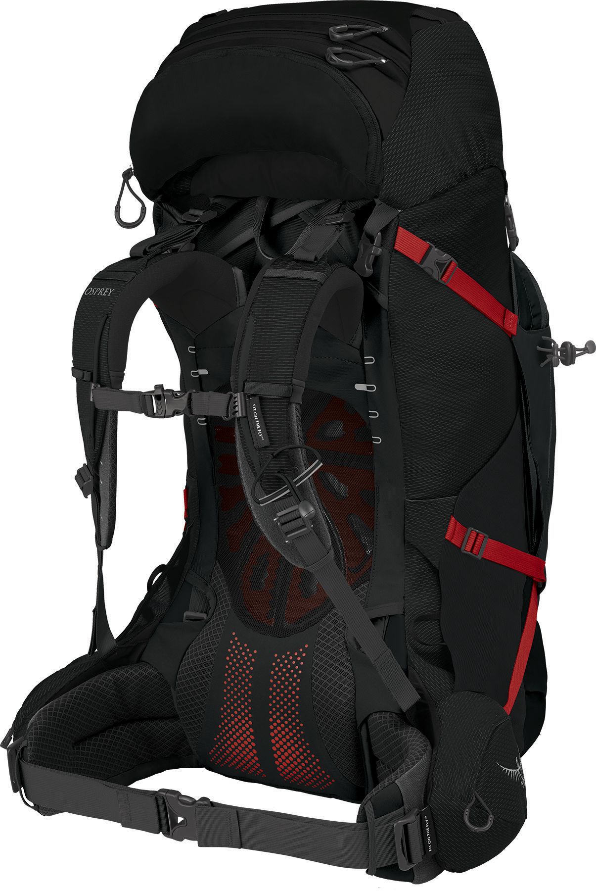 Osprey Aether Plus 70 Pack product image