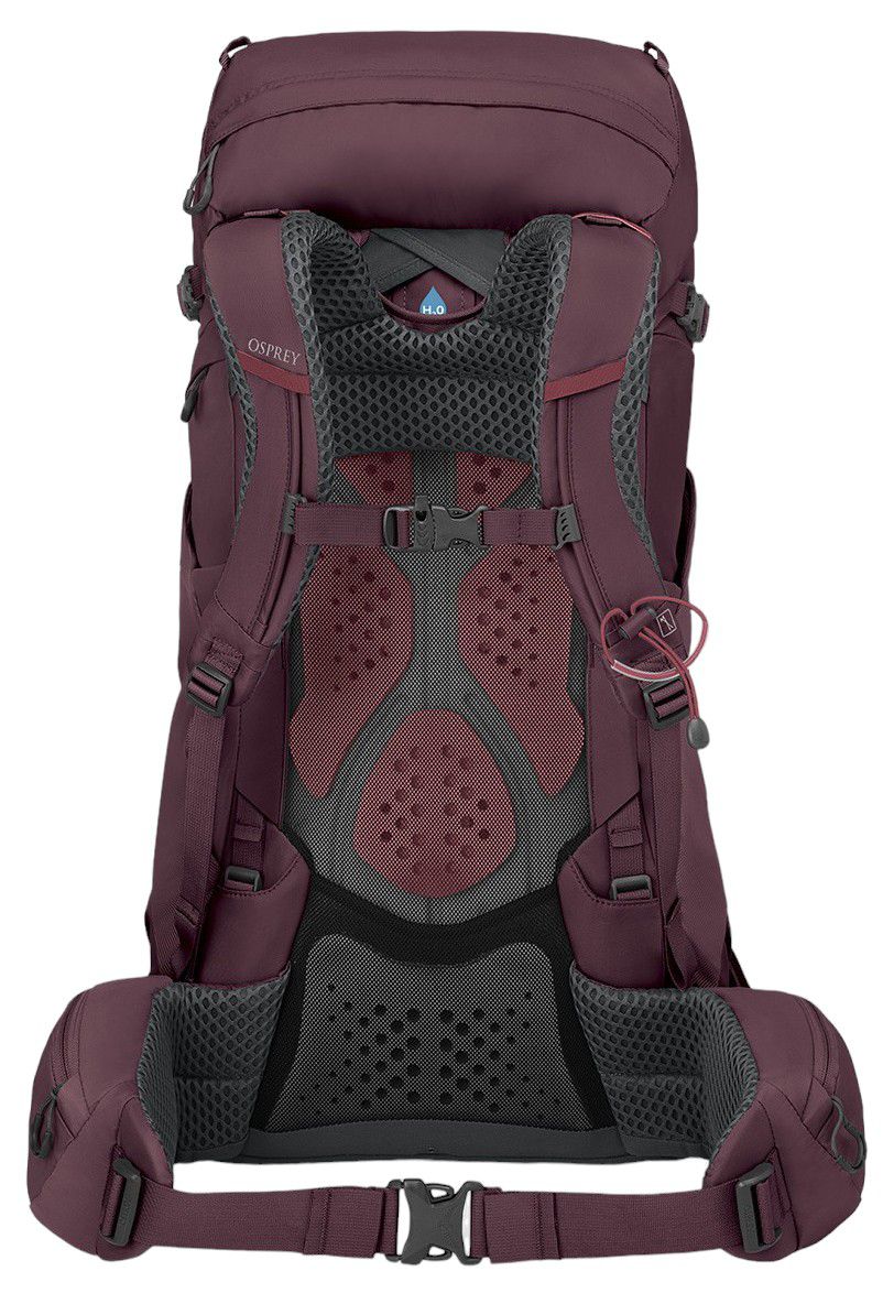 Osprey Kyte 38L Pack - Women's product image