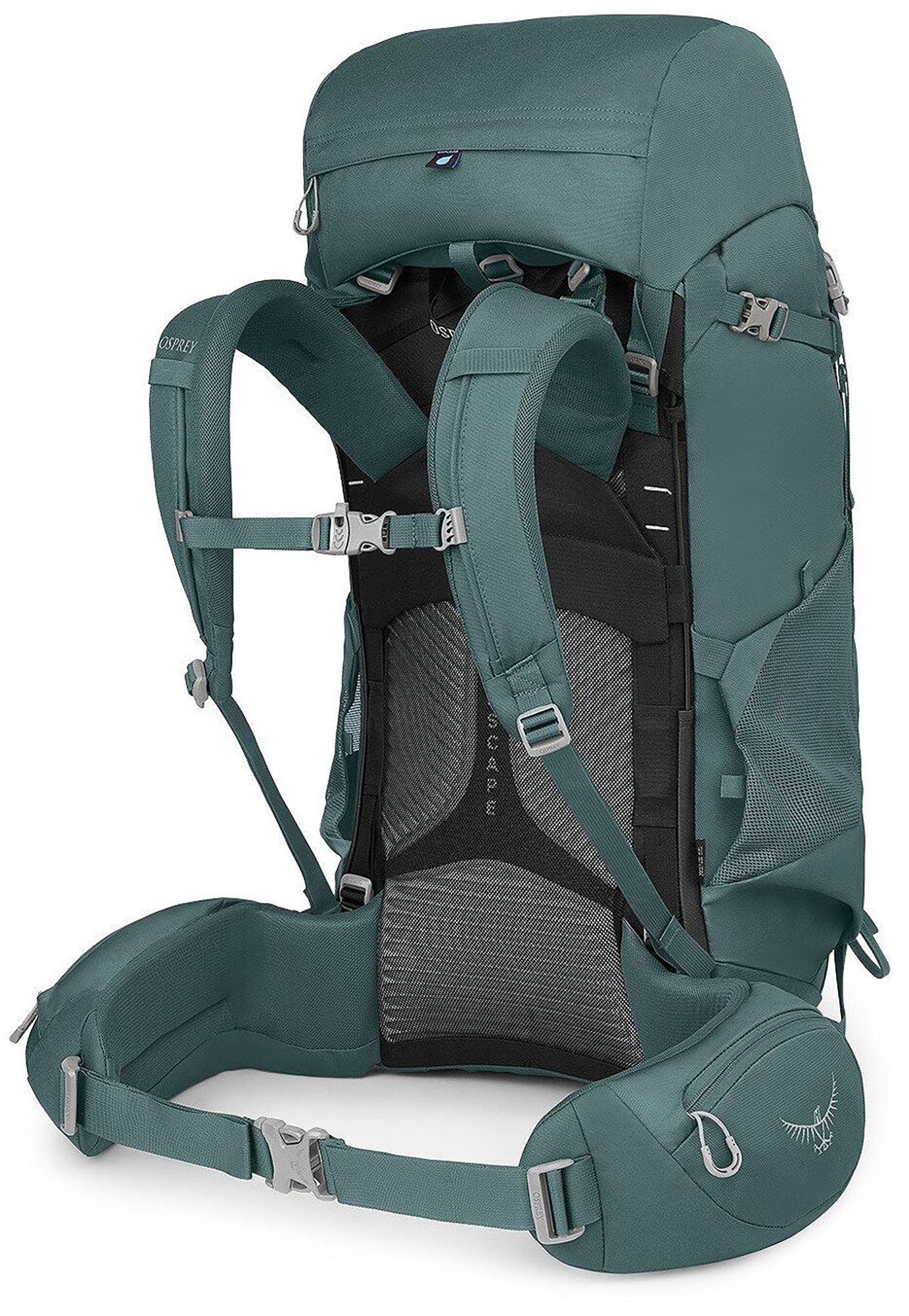 Osprey Viva 65L Extended Fit Backpack product image