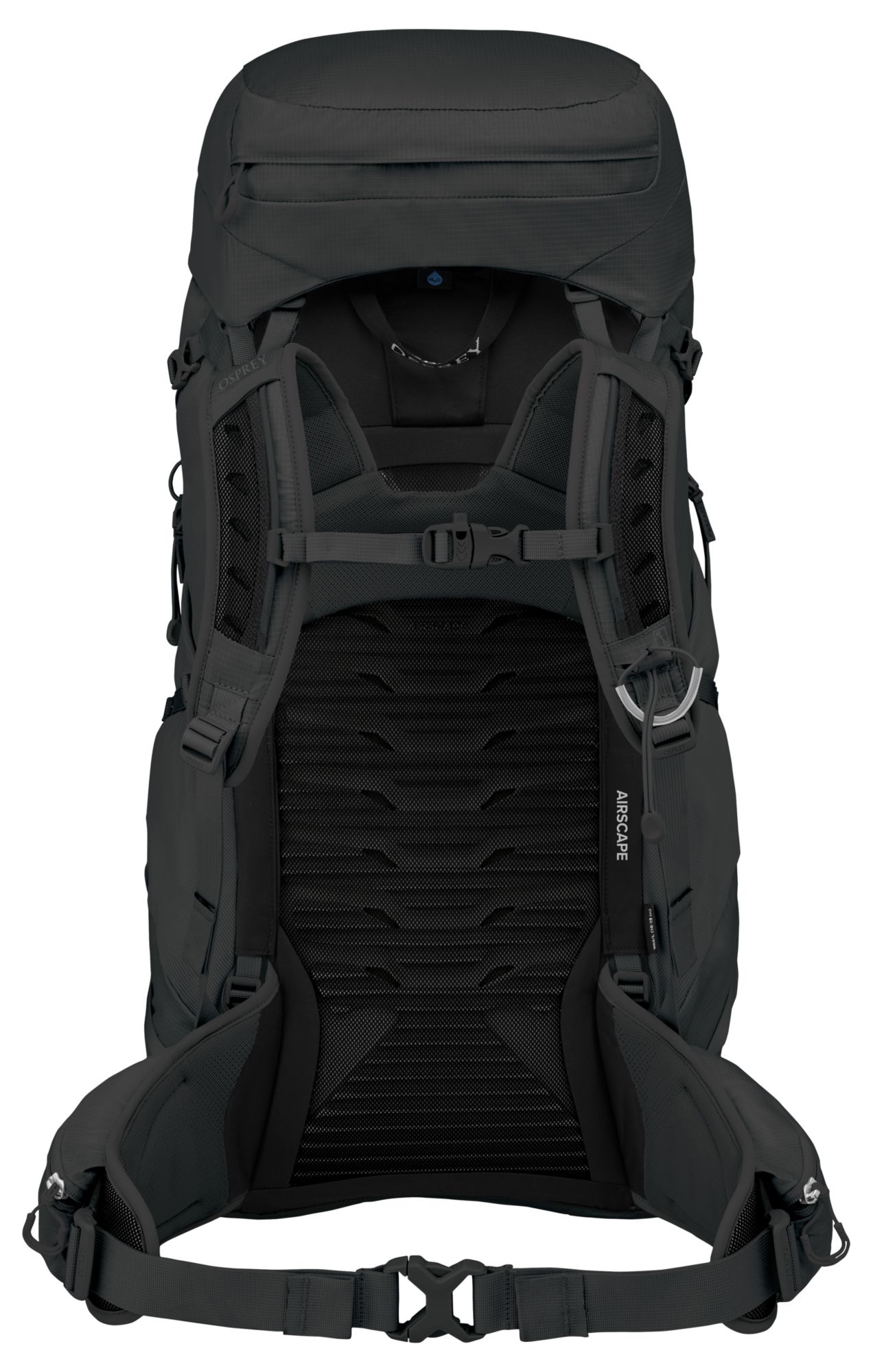 Osprey Tempest 44L Day Pack-Women's product image