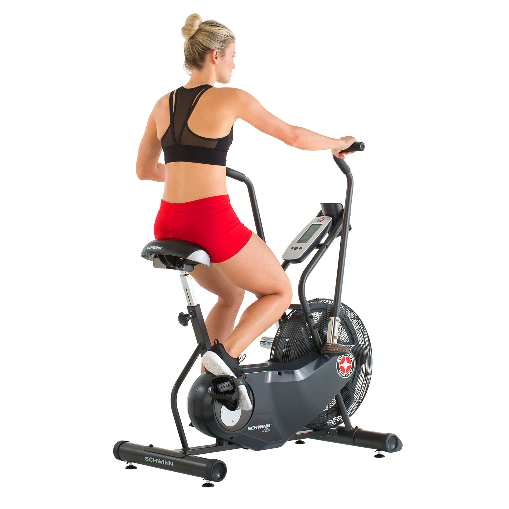 Schwinn AD6 Airdyne Upright Exercise Bike product image