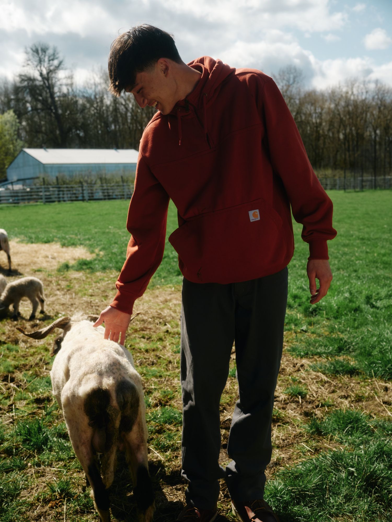 Carhartt Men's Paxton Heavyweight Mock Zip Hoodie product image