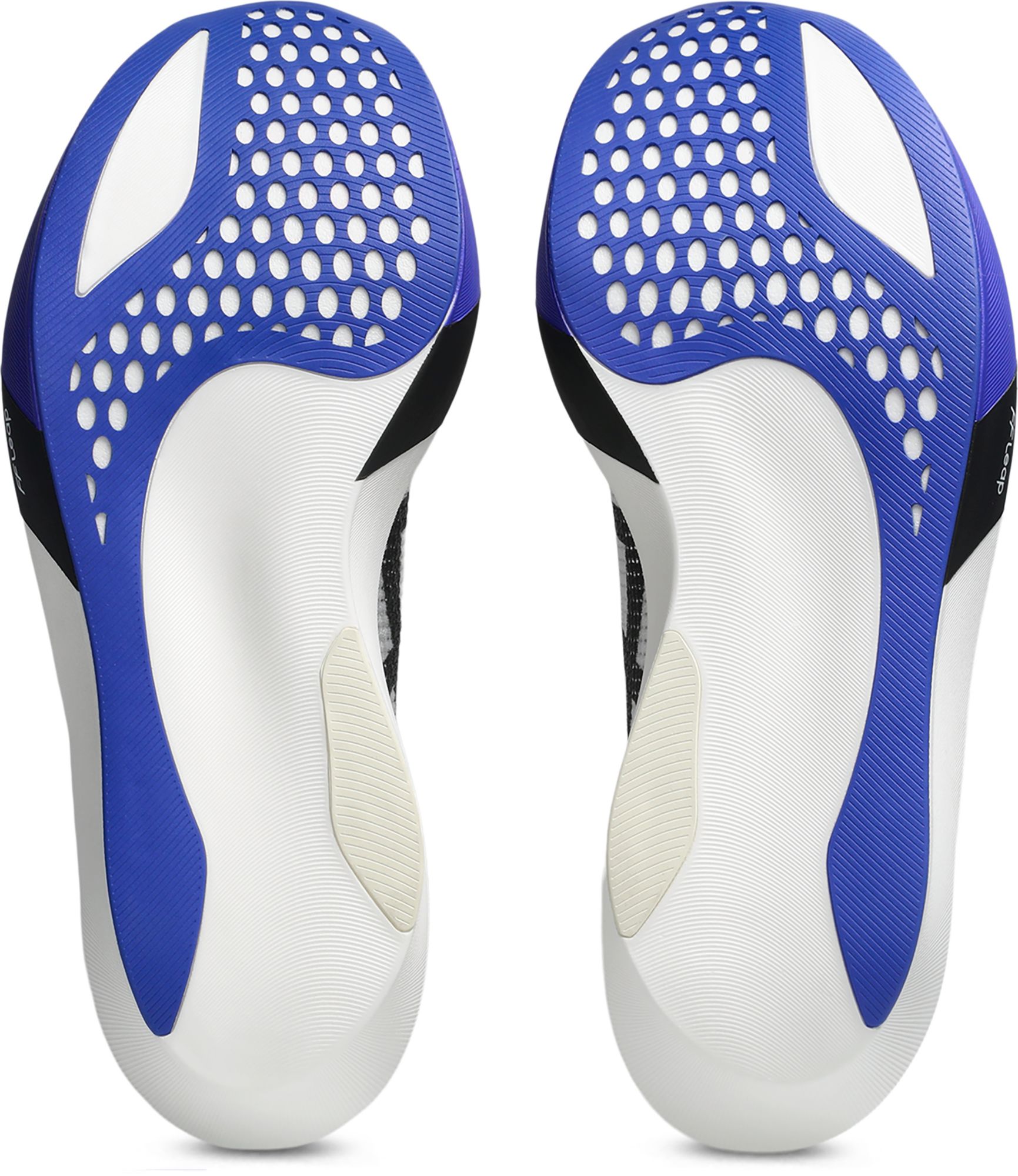 ASICS METASPEED SKY TOKYO Running Shoes product image