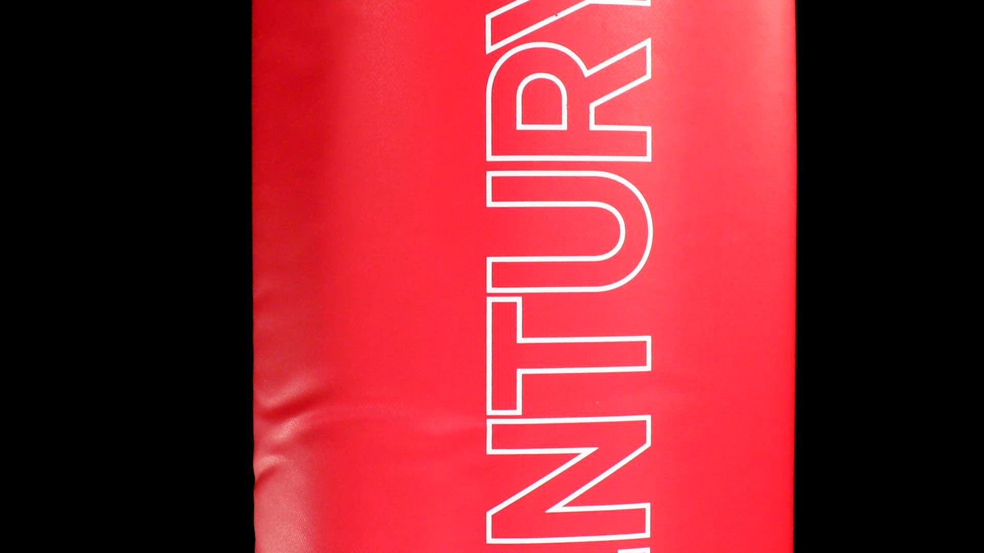 Century Wavemaster product