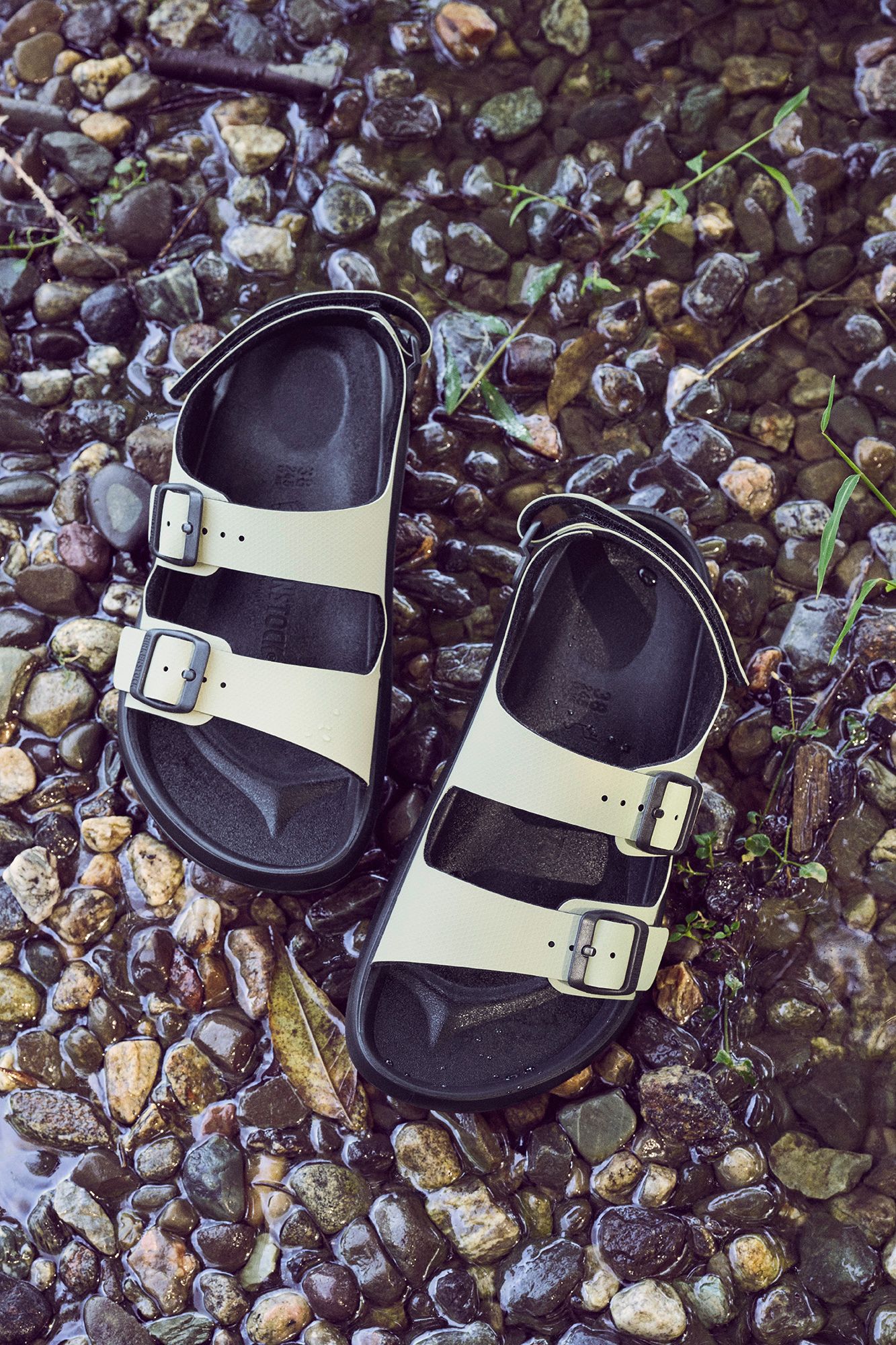 Birkenstock Men's Mogami Terra Sandal product image