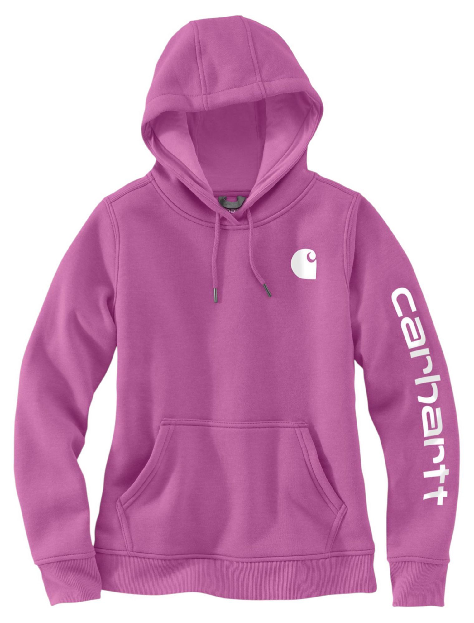 Carhartt Women's Clarksburg Graphic Sleeve Hoodie product image