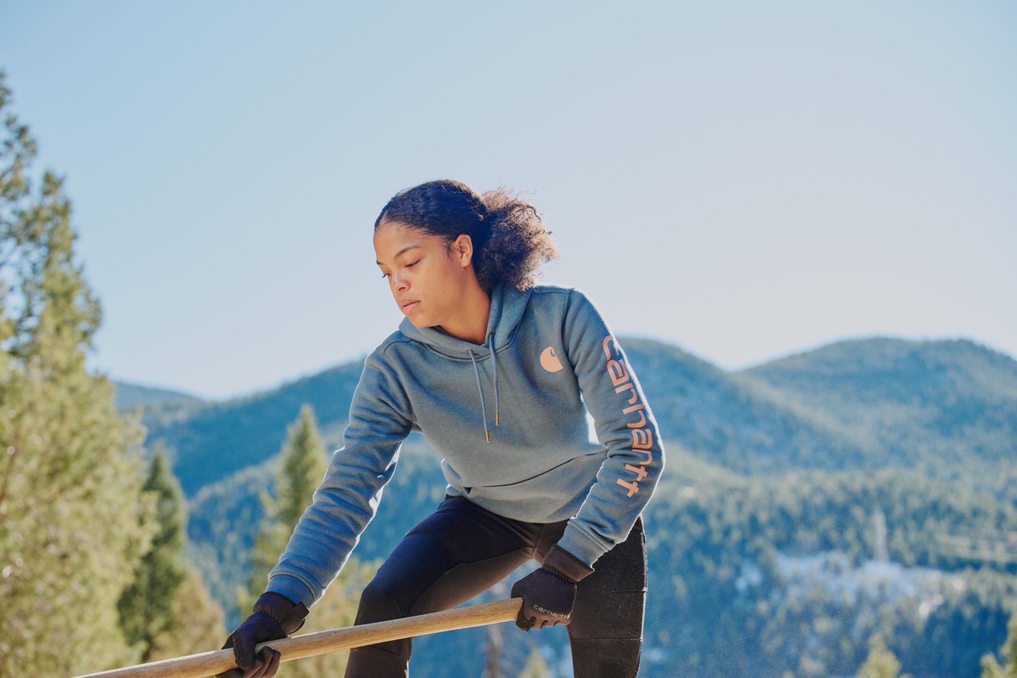 Carhartt Women's Clarksburg Graphic Sleeve Hoodie product image