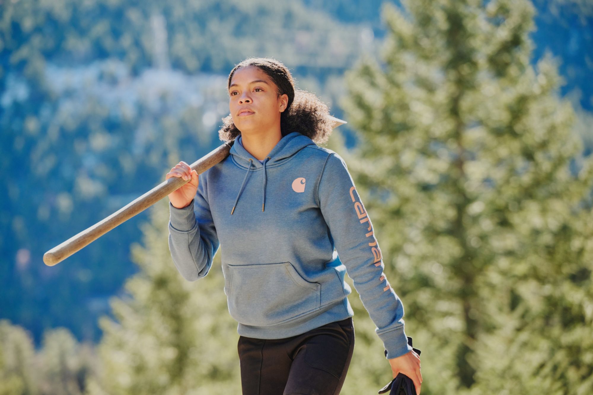 Carhartt Women's Clarksburg Graphic Sleeve Hoodie product image