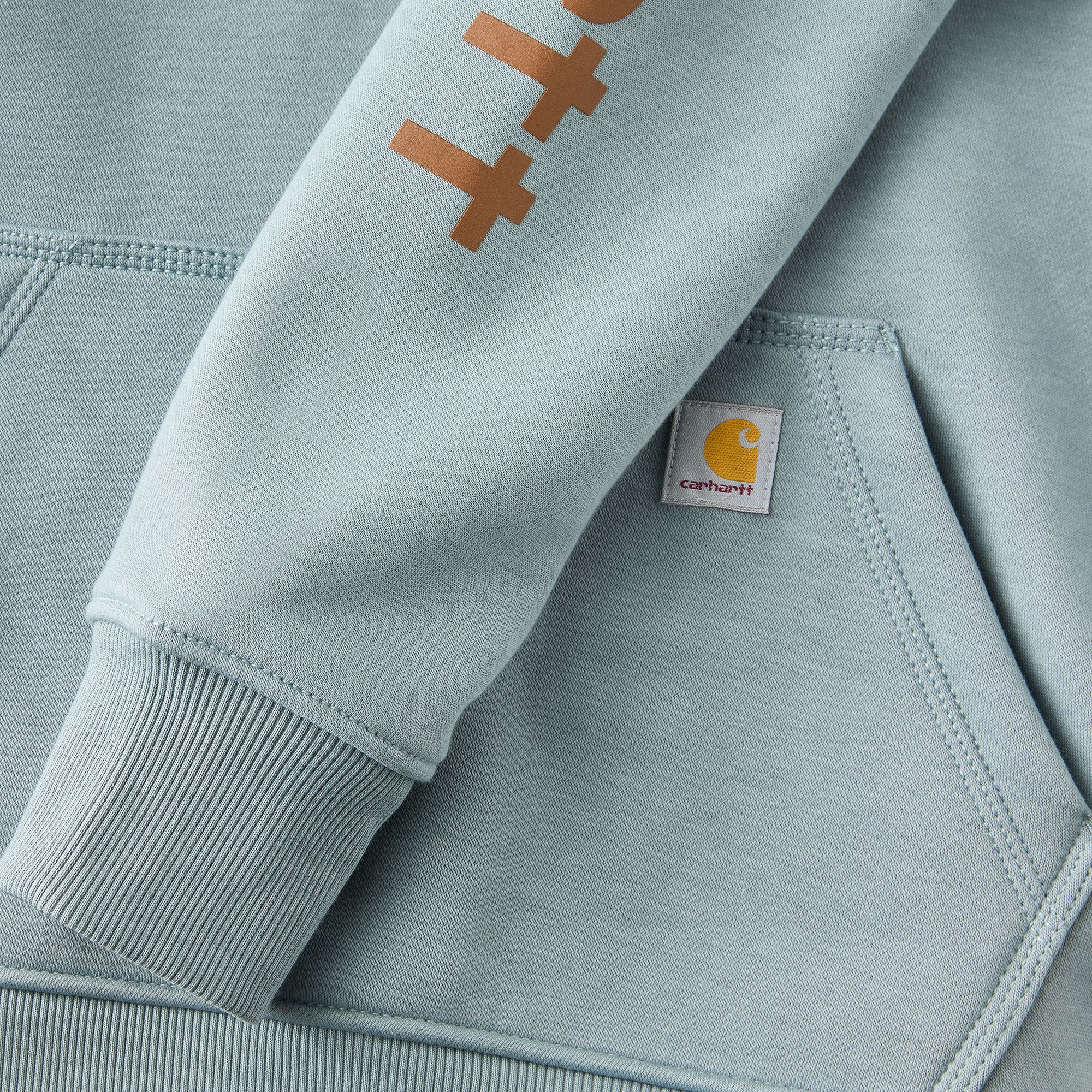 Carhartt Women's Clarksburg Graphic Sleeve Hoodie product image
