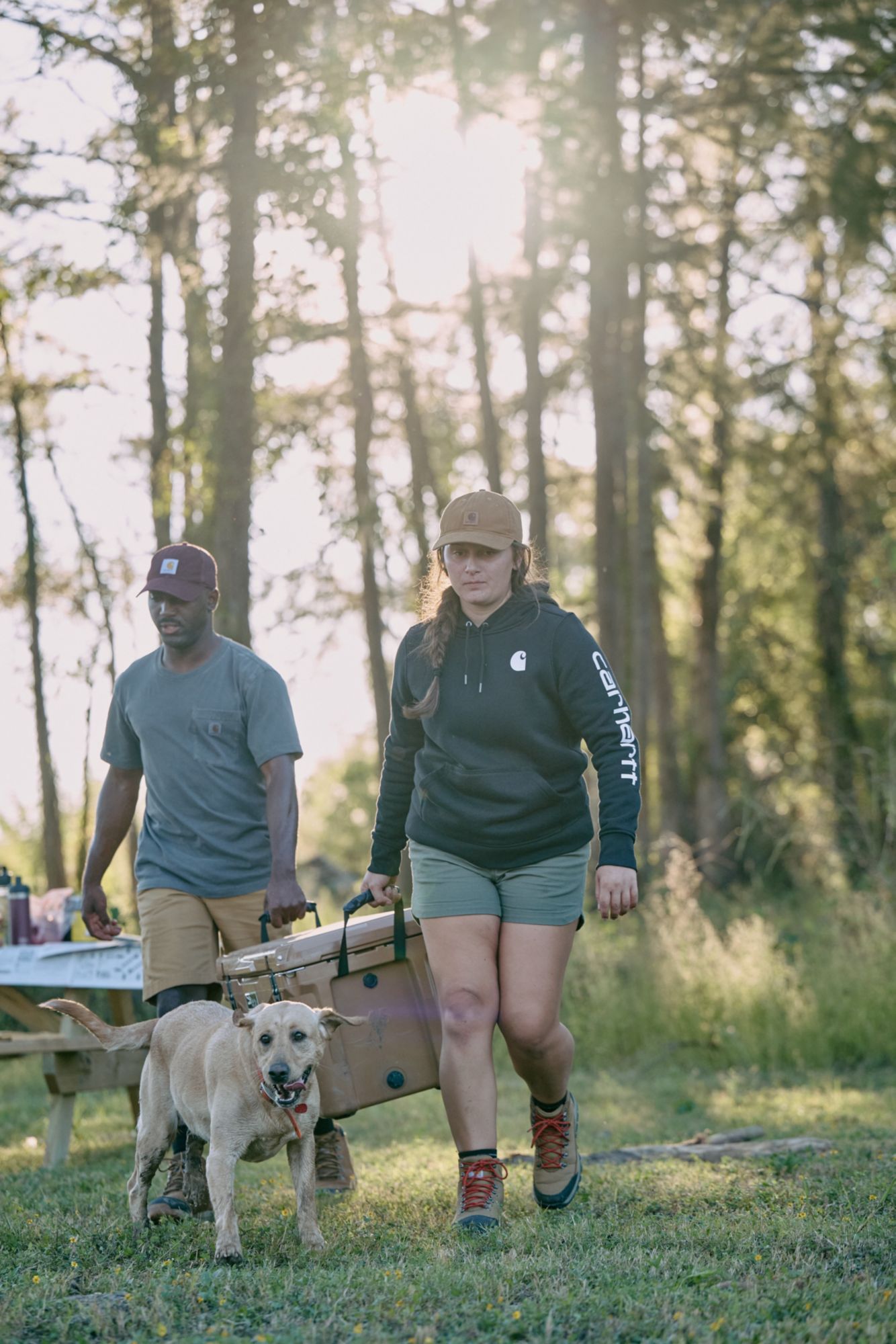 Carhartt Women's Clarksburg Graphic Sleeve Hoodie product image