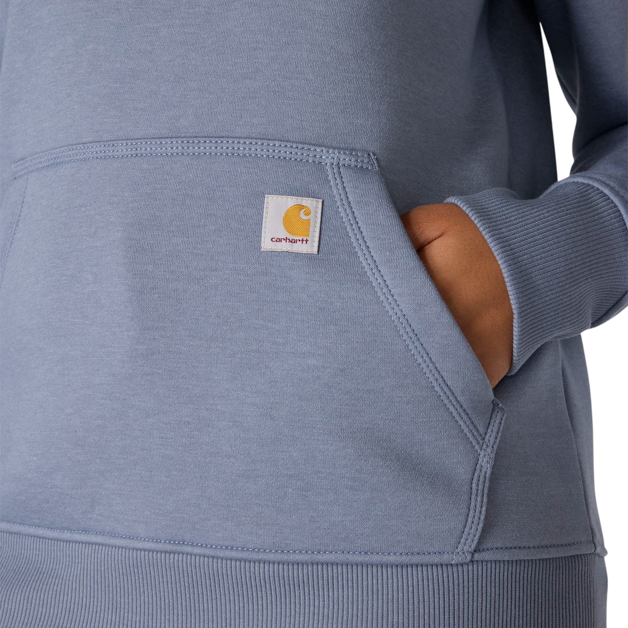 Carhartt Women's Clarksburg Graphic Sleeve Hoodie product image