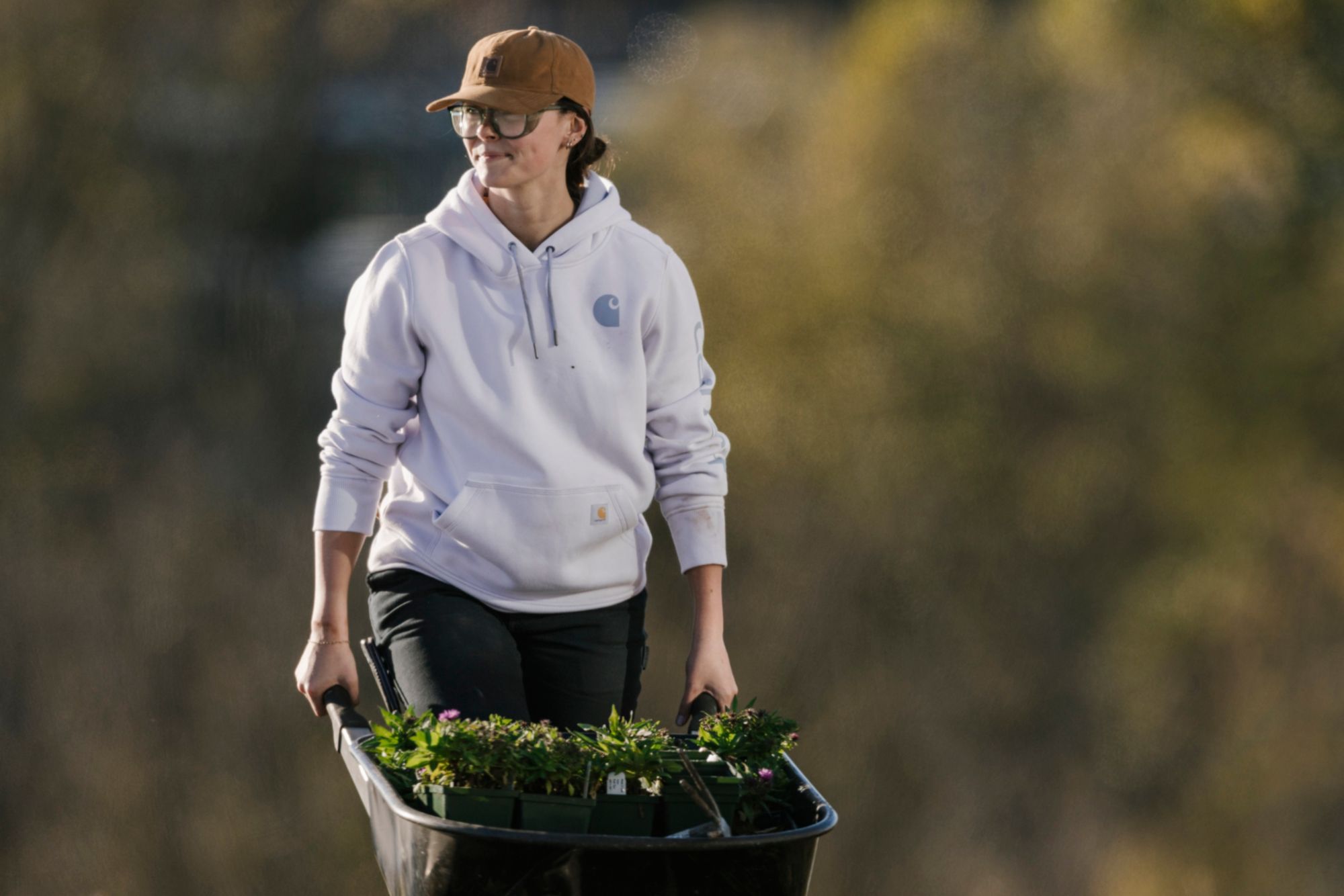 Carhartt Women's Clarksburg Graphic Sleeve Hoodie product image