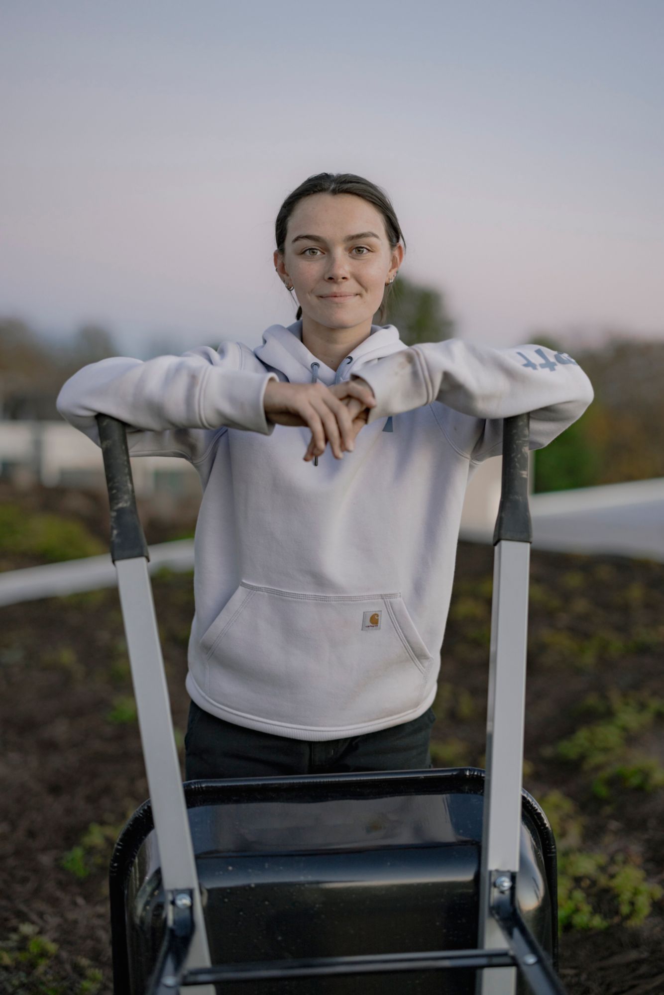 Carhartt Women's Clarksburg Graphic Sleeve Hoodie product image