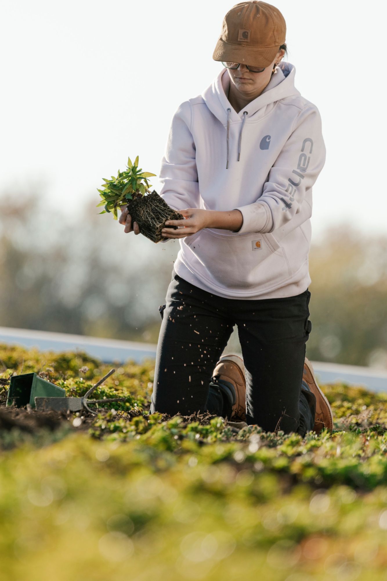 Carhartt Women's Clarksburg Graphic Sleeve Hoodie product image