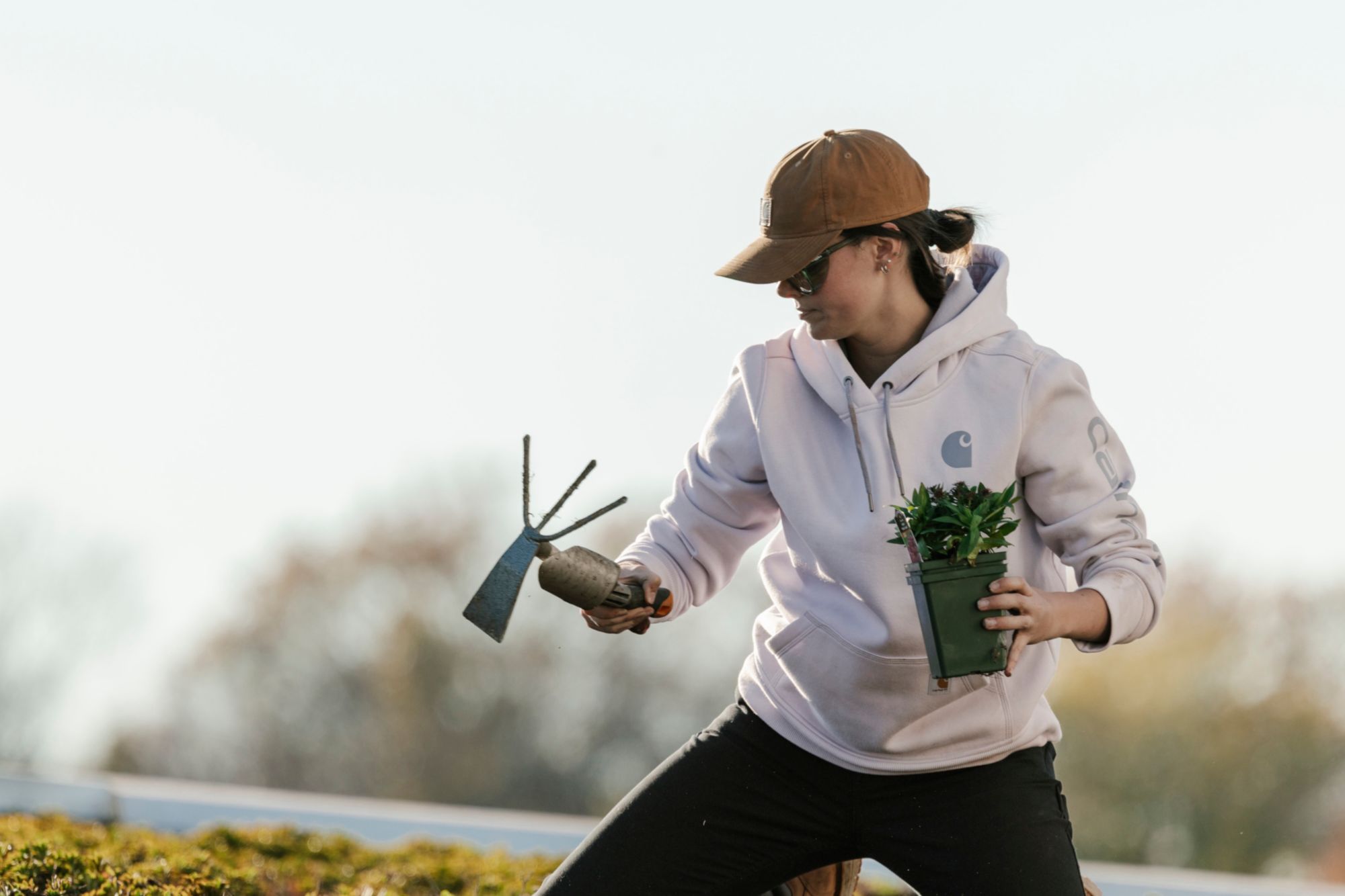 Carhartt Women's Clarksburg Graphic Sleeve Hoodie product image