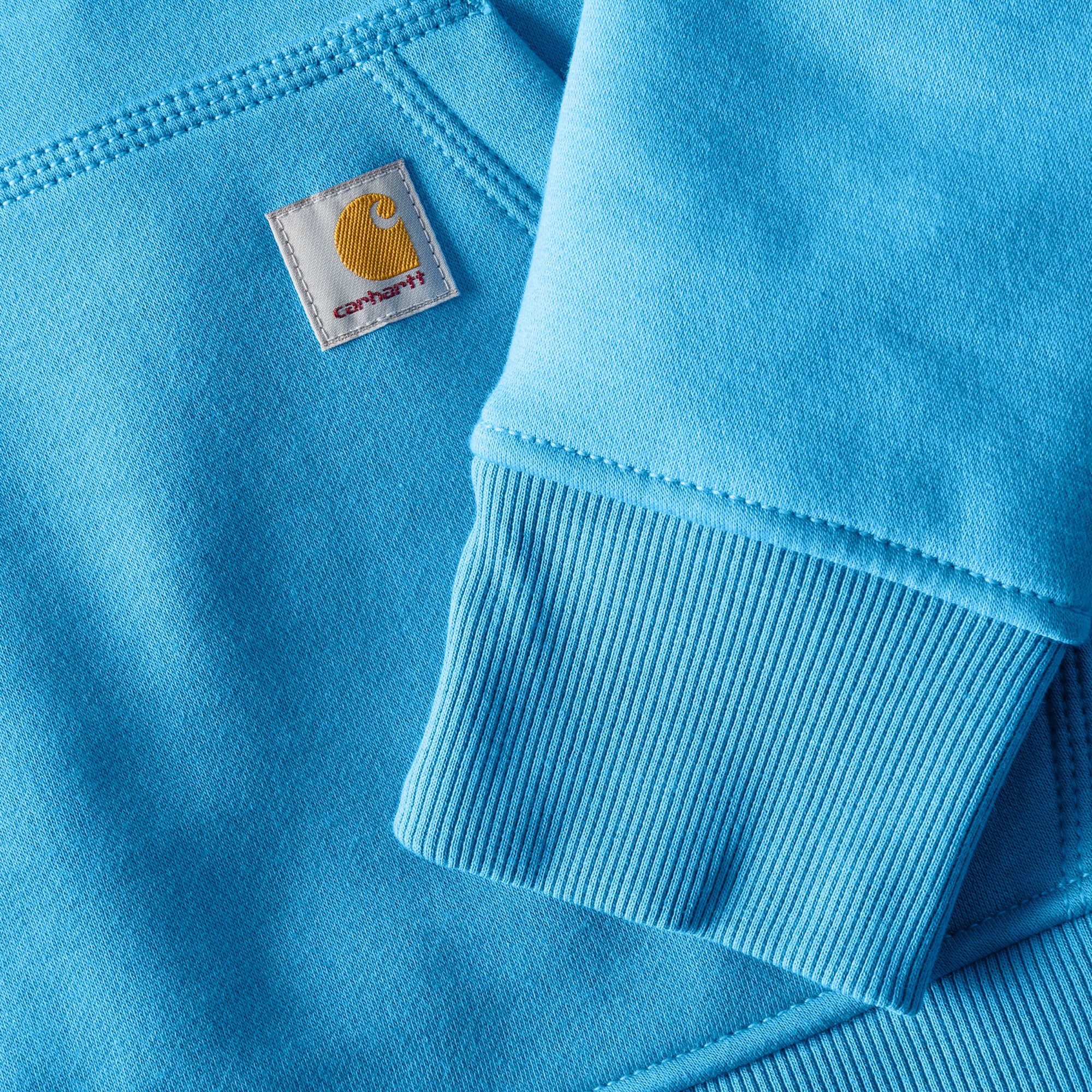Carhartt Women's Clarksburg Graphic Sleeve Hoodie product image