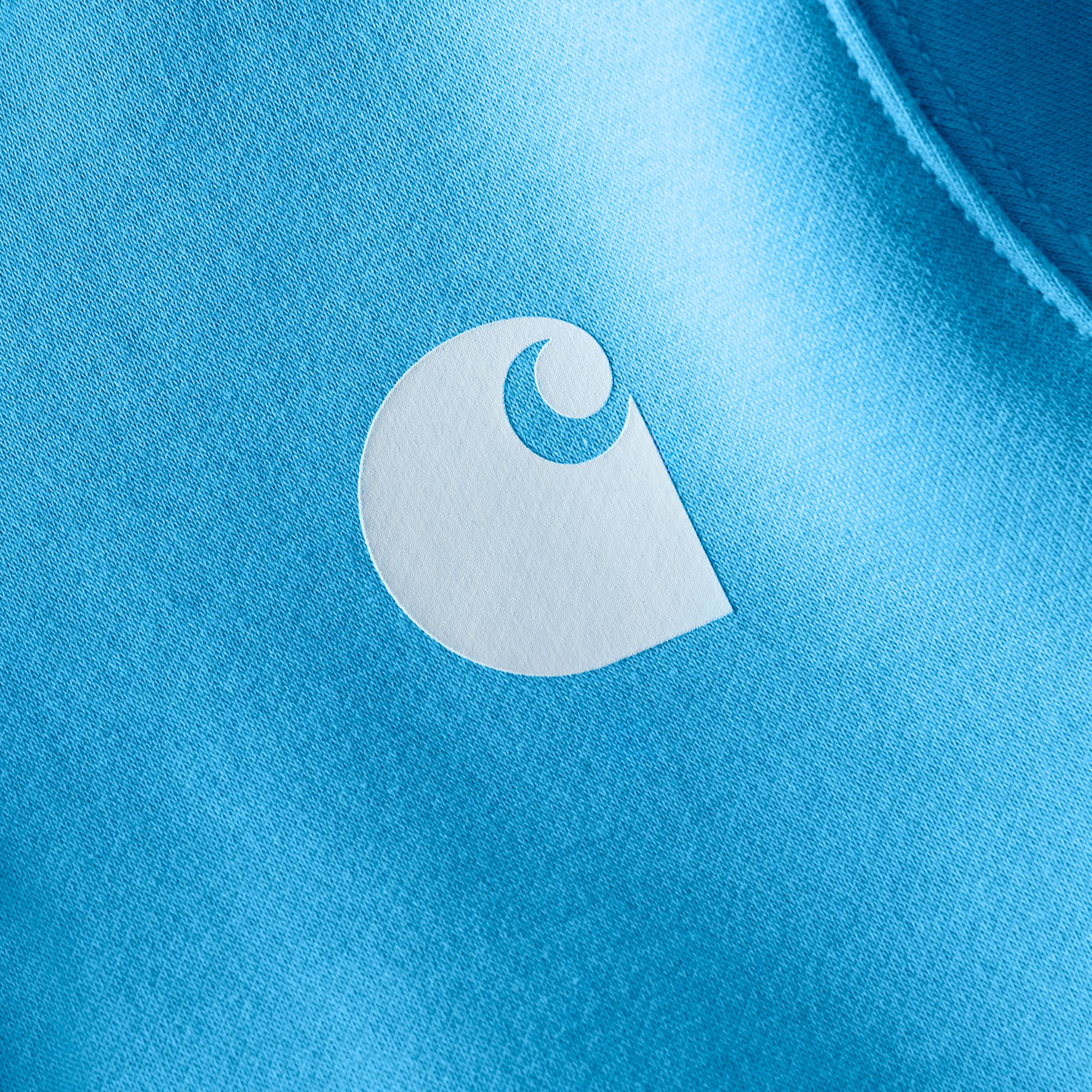 Carhartt Women's Clarksburg Graphic Sleeve Hoodie product image