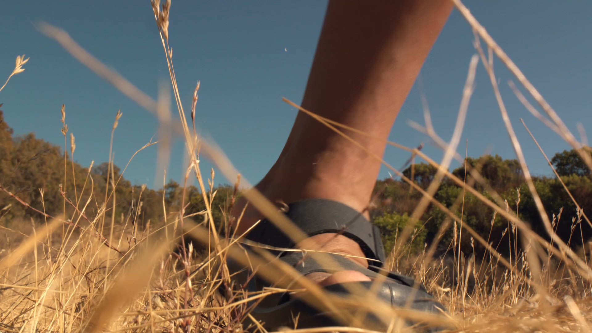 Birkenstock Men's Mogami Terra Sandal product