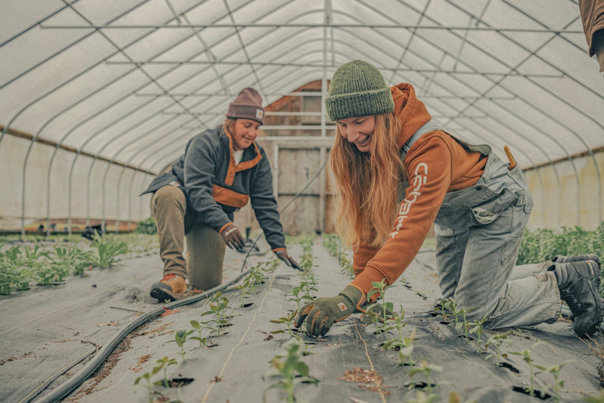 Carhartt Women's Relaxed Fit Denim Railroad Stripe Bib Overall product image