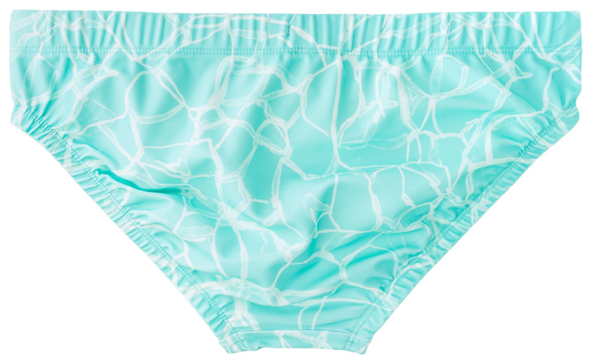 Chubbies Men's Swim Briefs product image