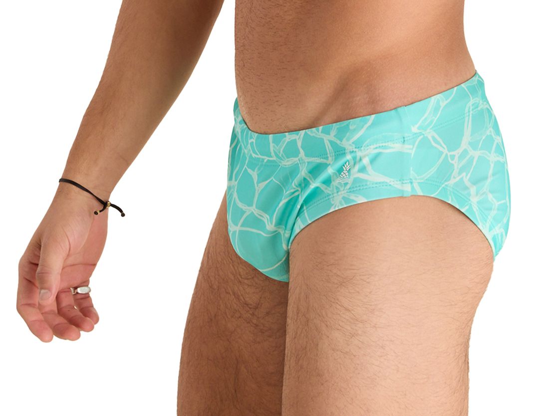 Chubbies Men's Swim Briefs product image