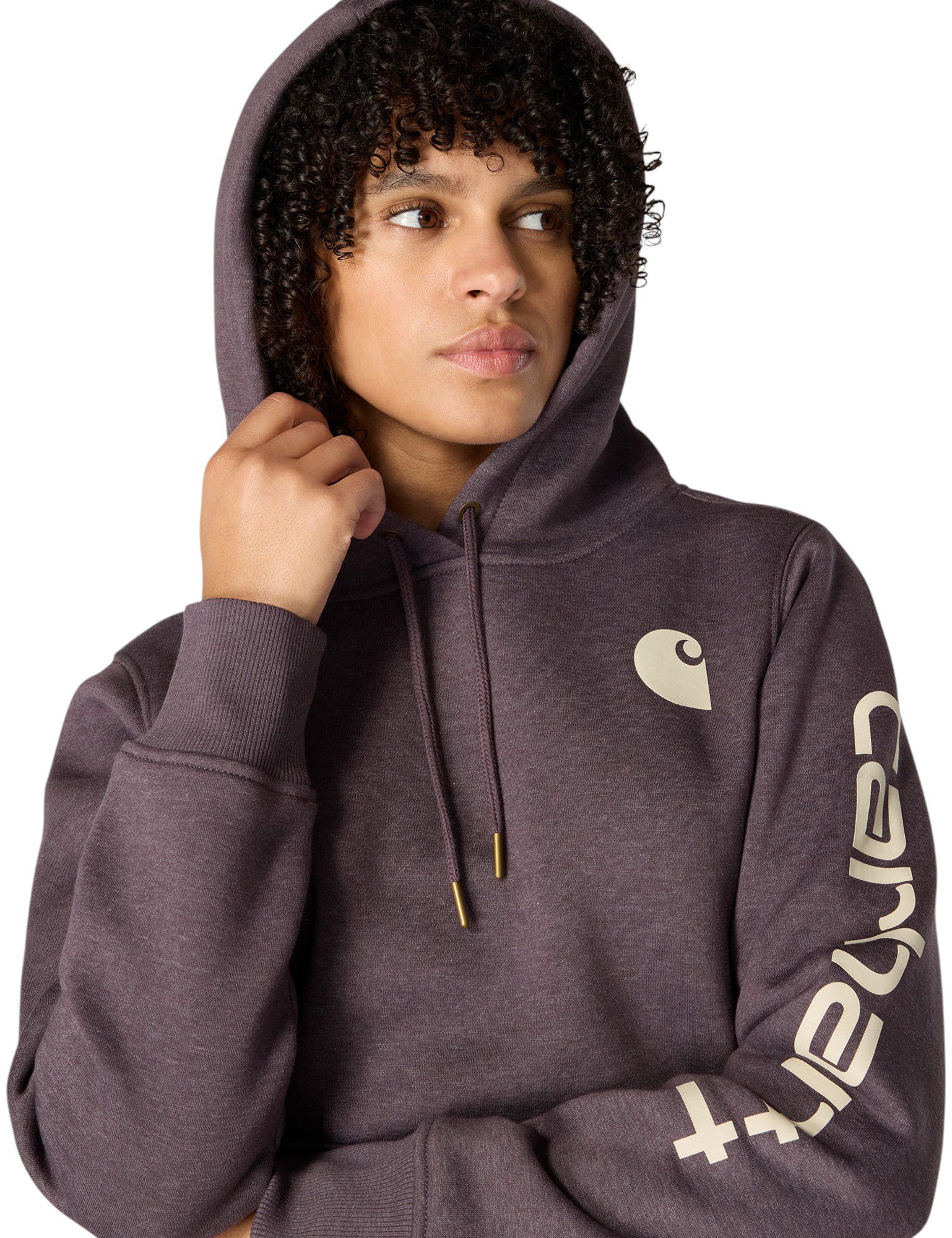 Carhartt Women's Clarksburg Graphic Sleeve Hoodie product image