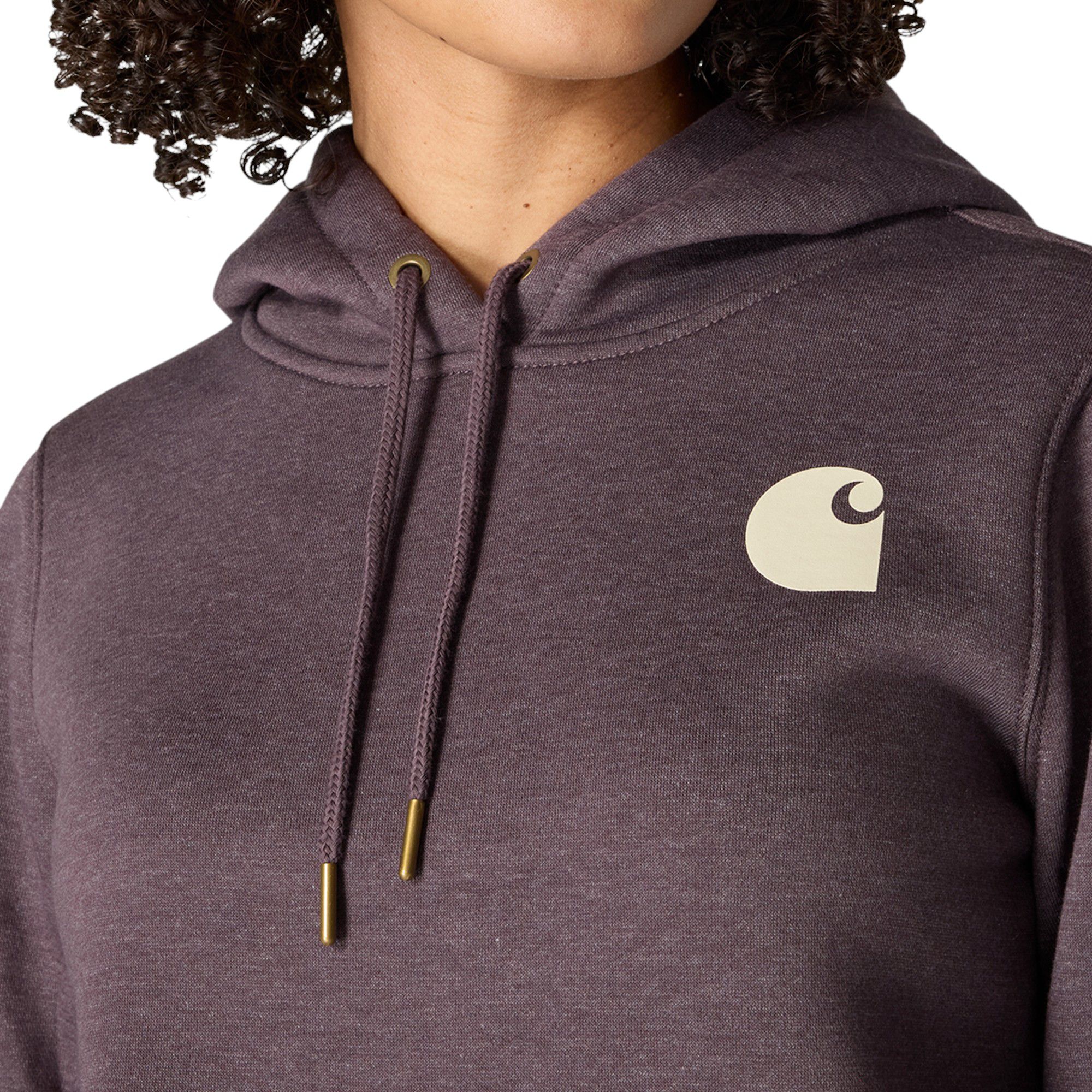 Carhartt Women's Clarksburg Graphic Sleeve Hoodie product image