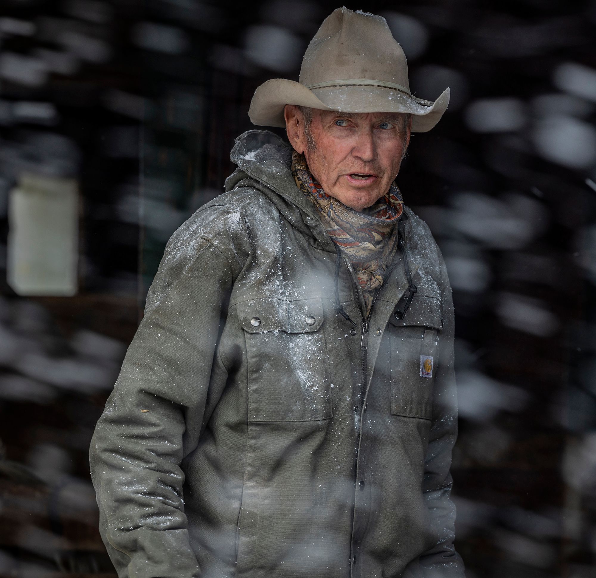 Carhartt Men's Washed Duck Bartlett Jacket product image