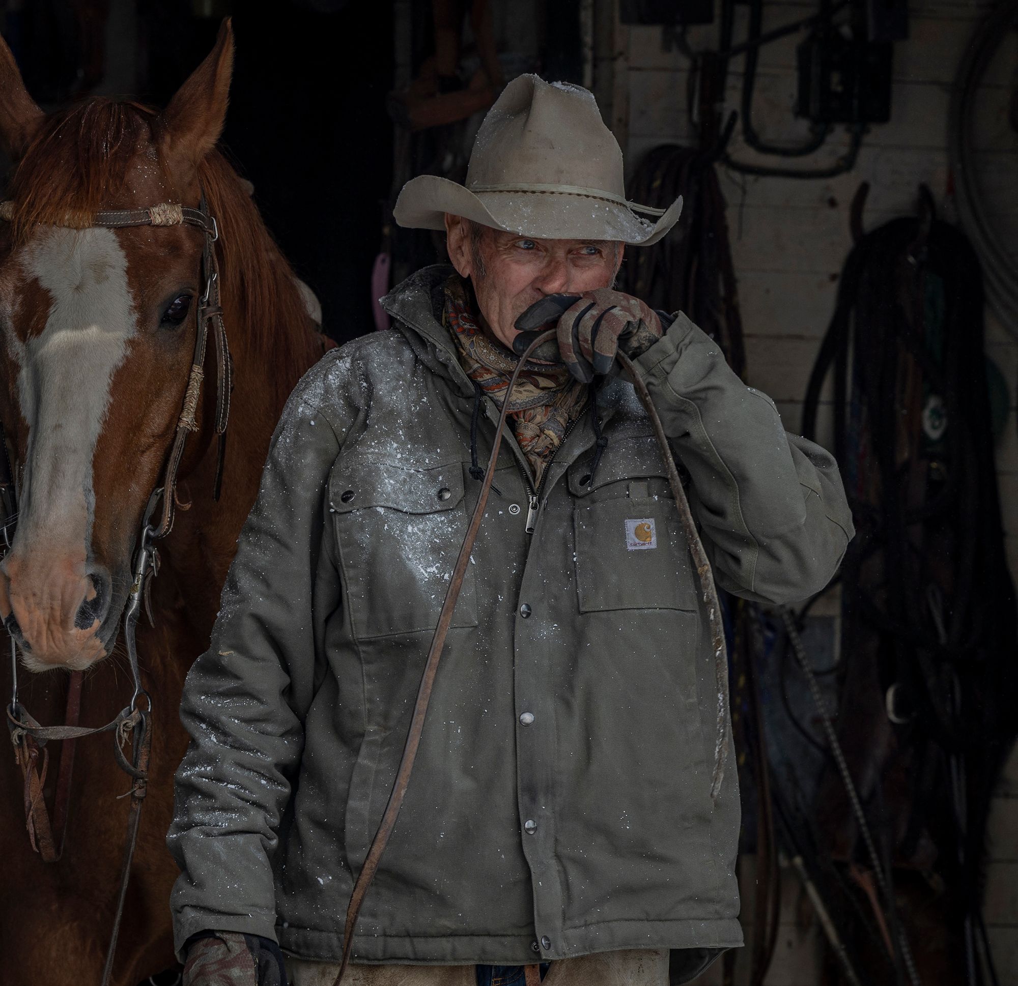 Carhartt Men's Washed Duck Bartlett Jacket product image