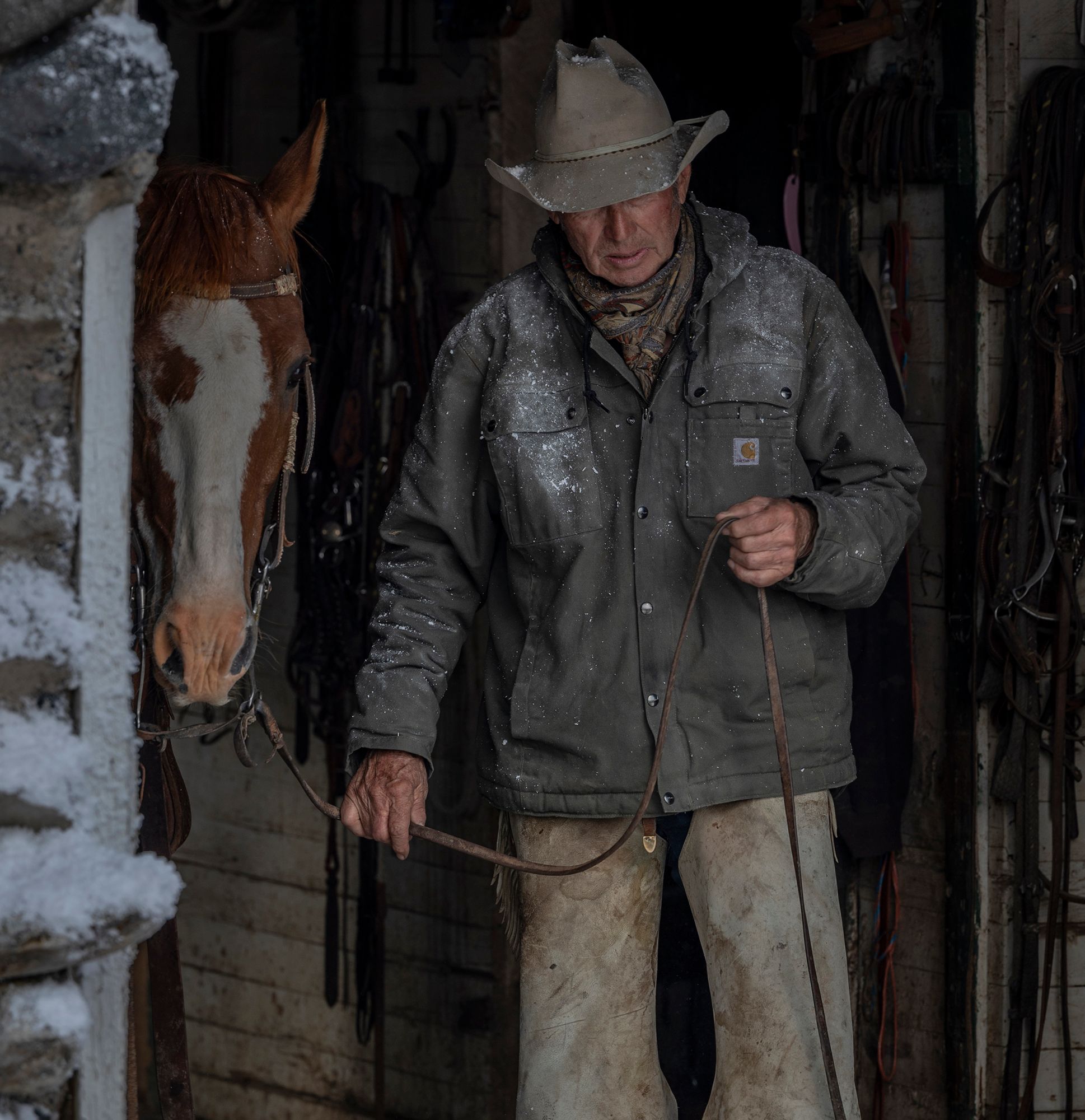 Carhartt Men's Washed Duck Bartlett Jacket product image