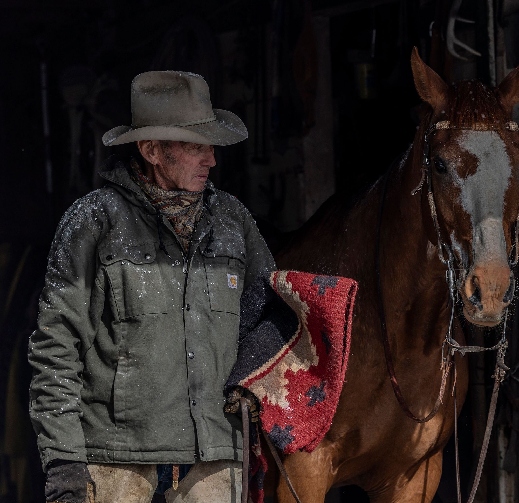 Carhartt Men's Washed Duck Bartlett Jacket product image