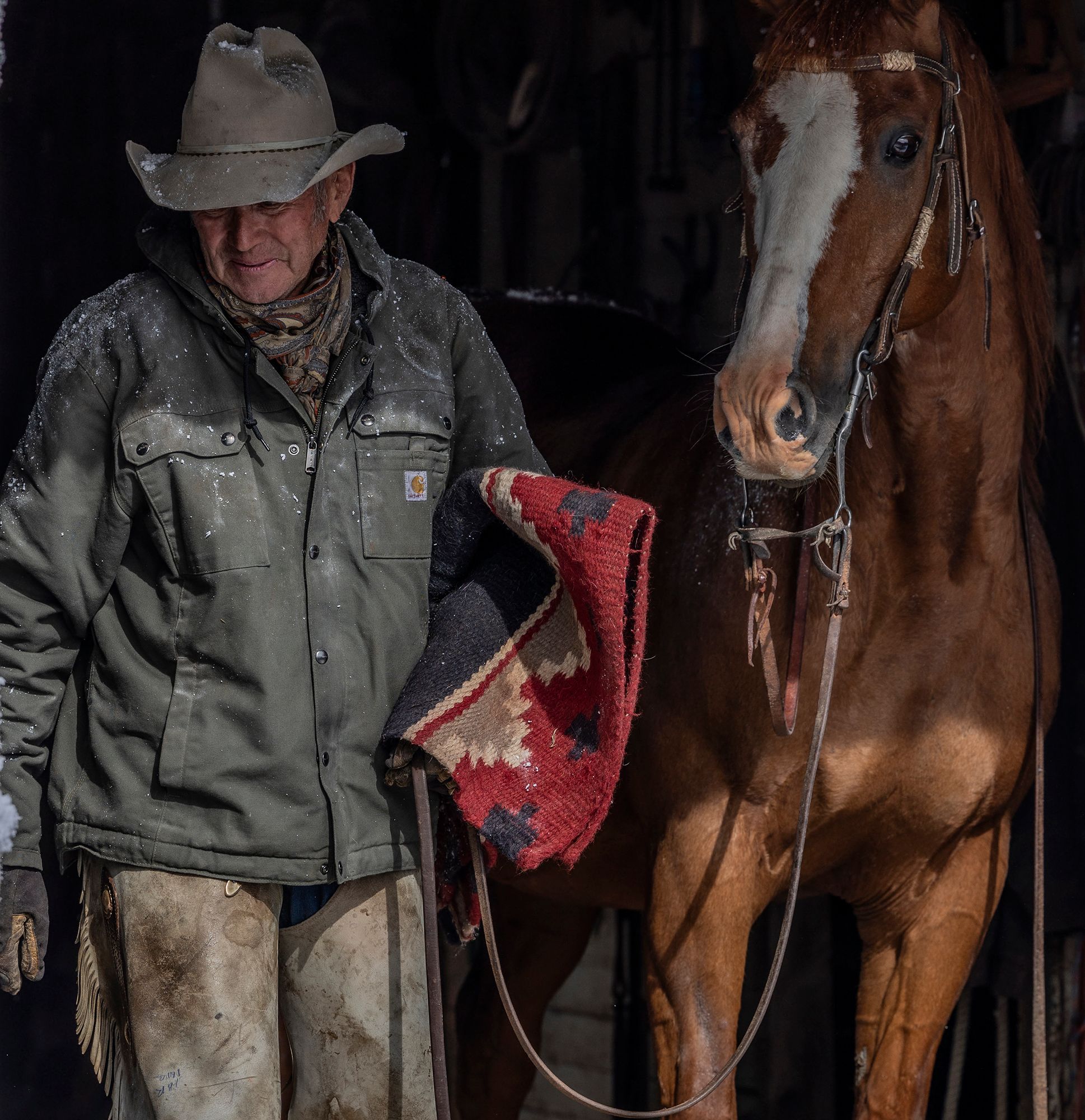 Carhartt Men's Washed Duck Bartlett Jacket product image