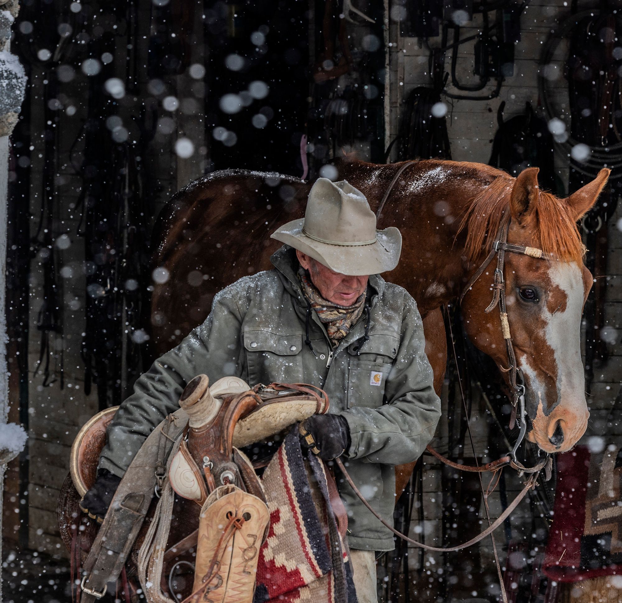 Carhartt Men's Washed Duck Bartlett Jacket product image