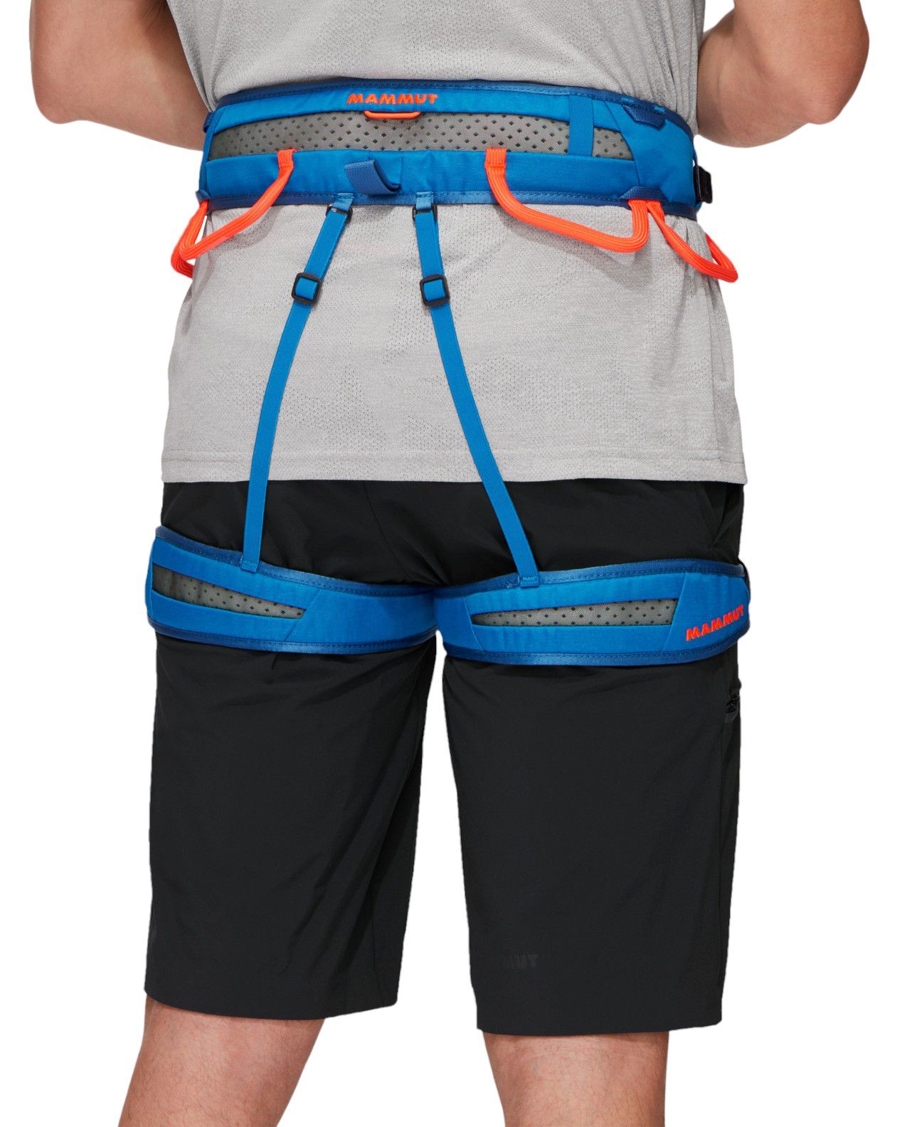 Mammut Men's Ophir Speedfit Harness product image