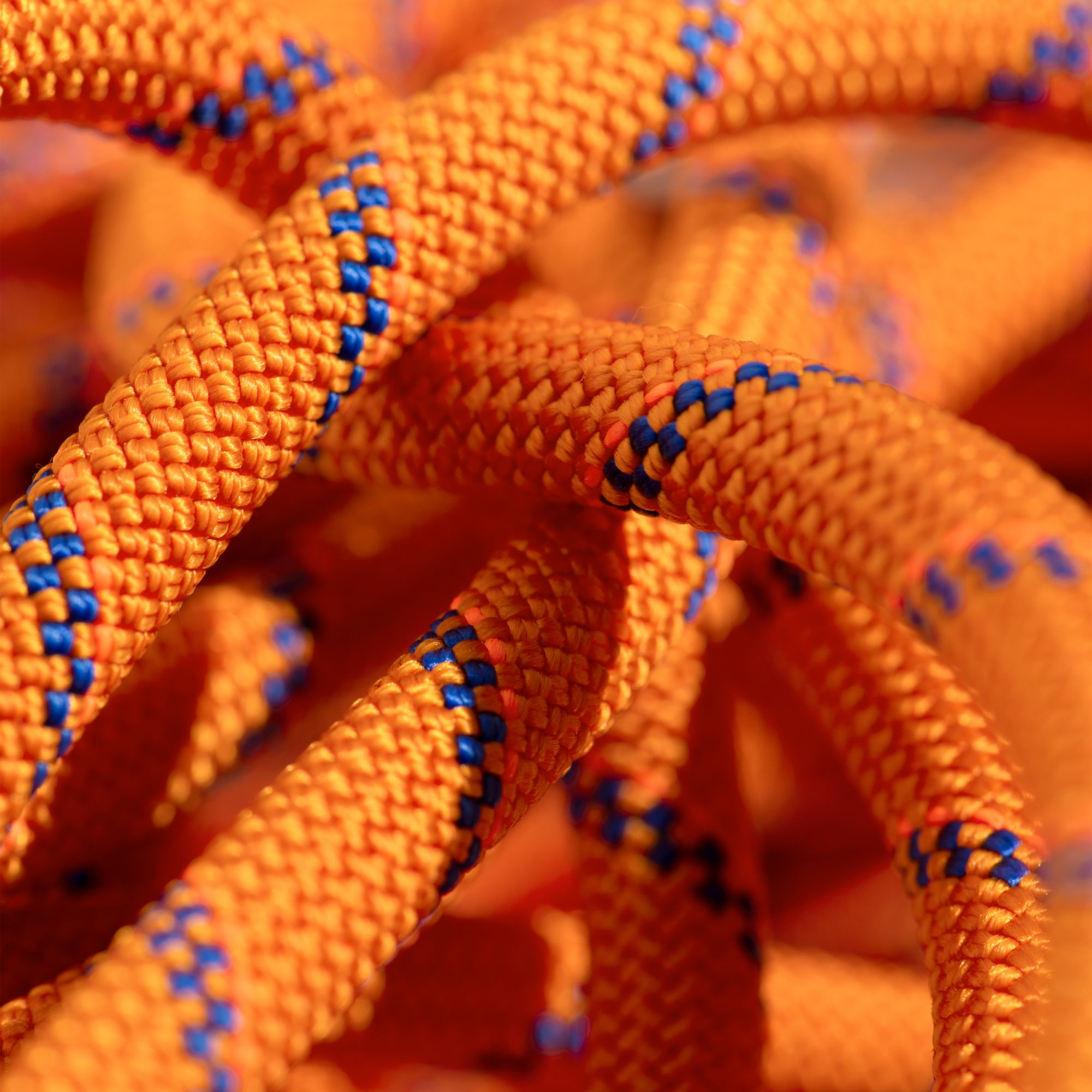 Mammut 9.0 Alpine Sender Dry Rope product image