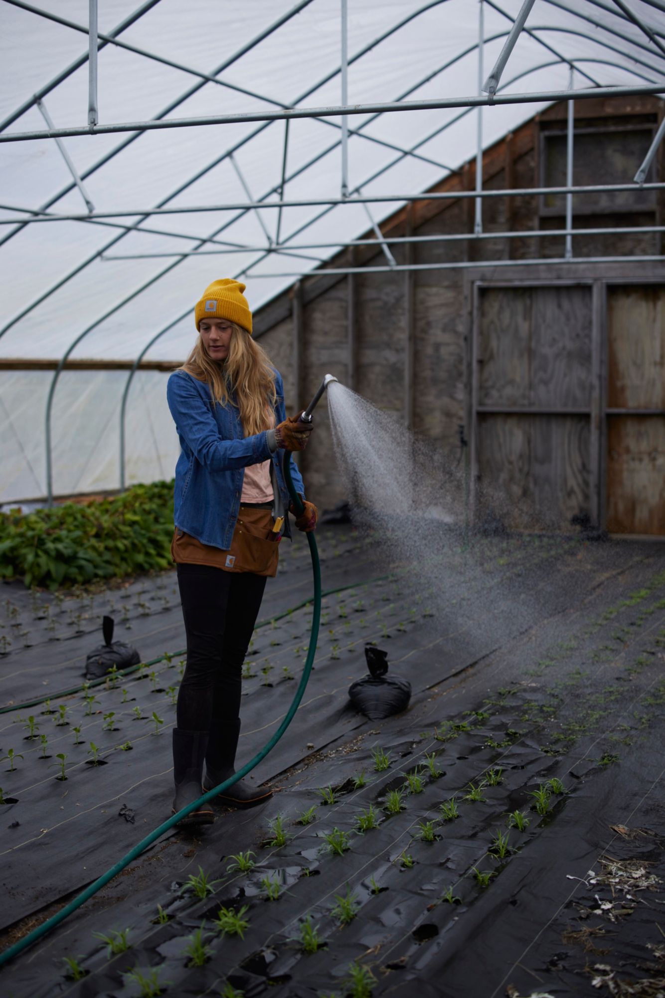 Carhartt Women's Denim Overshirt product image