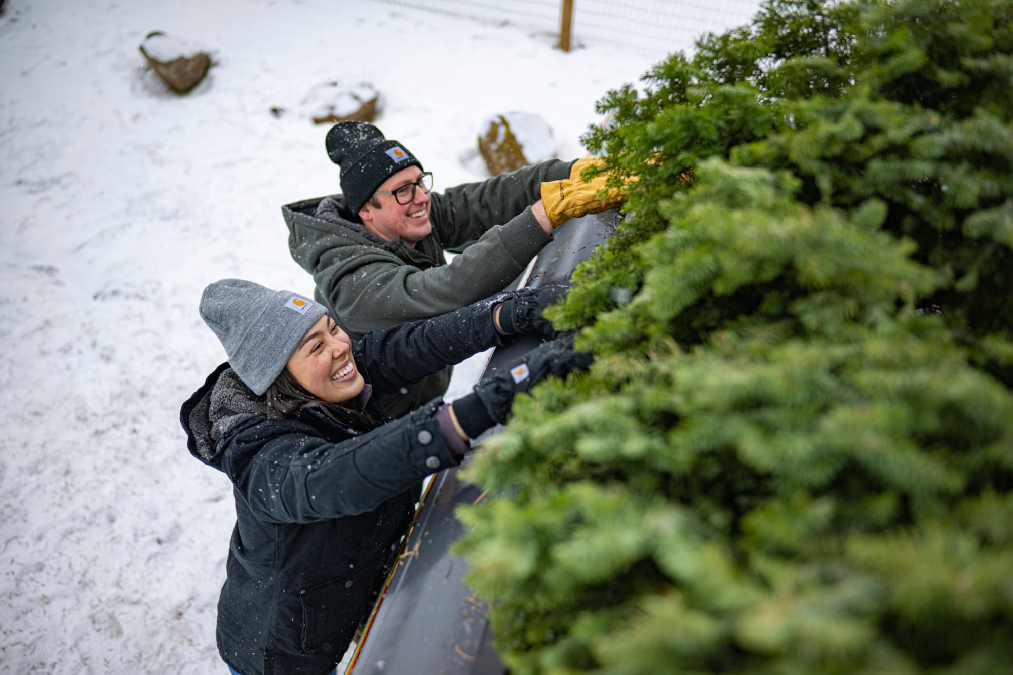 Carhartt Women's Loose Fit Weathered Duck Coat product image