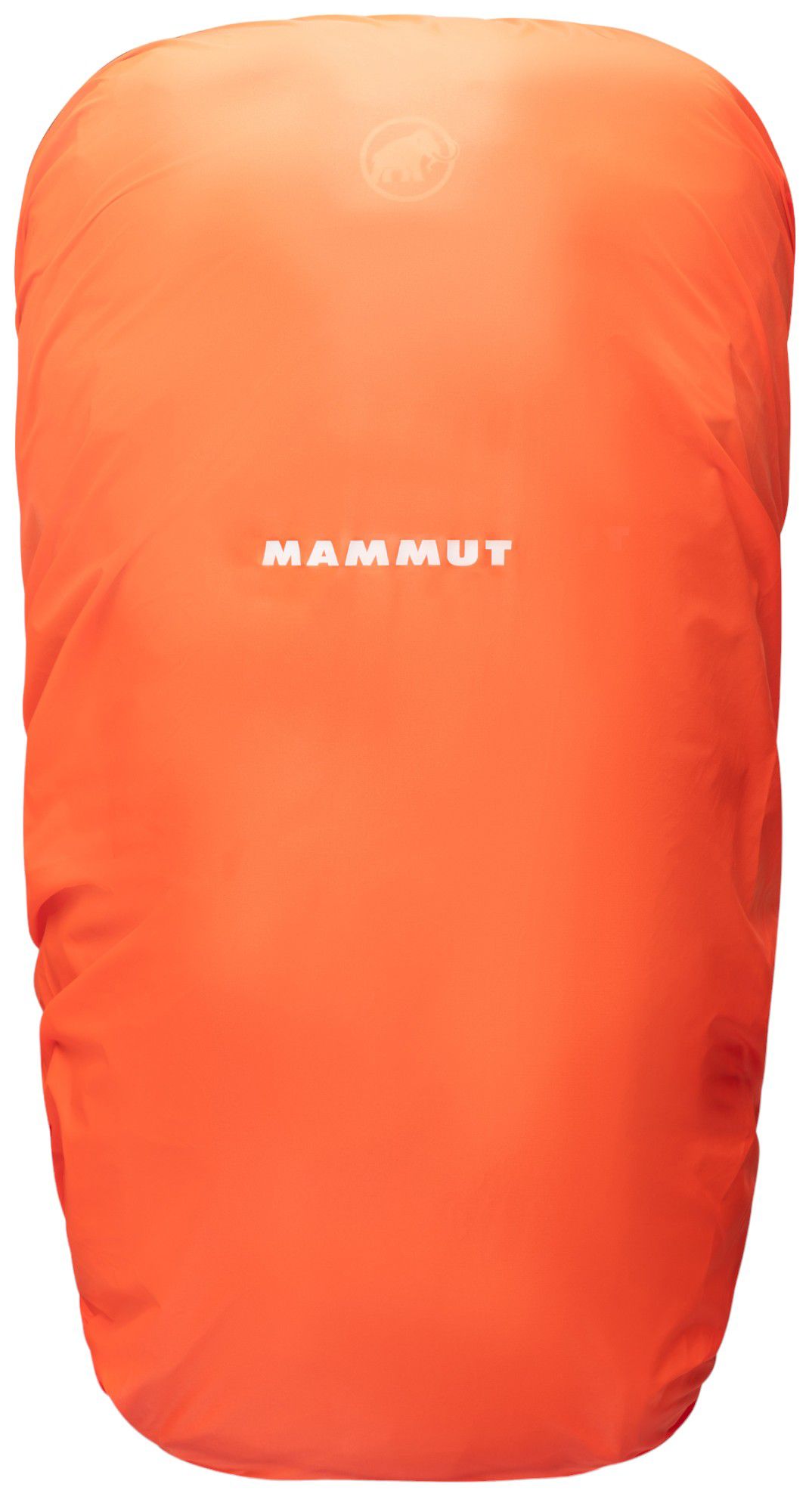 Mammut Lithium 40 Pack product image