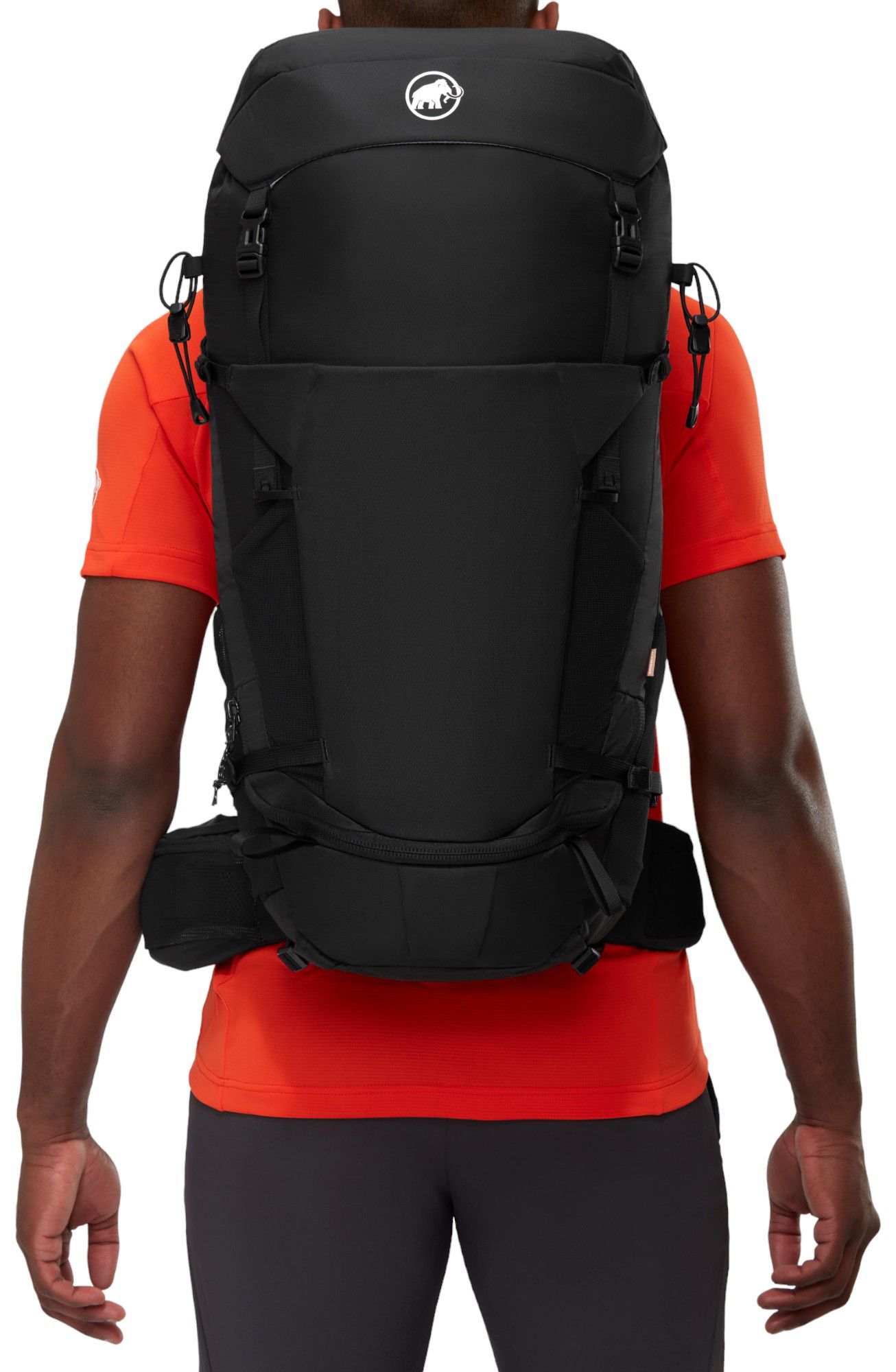 Mammut Lithium 40 Pack product image