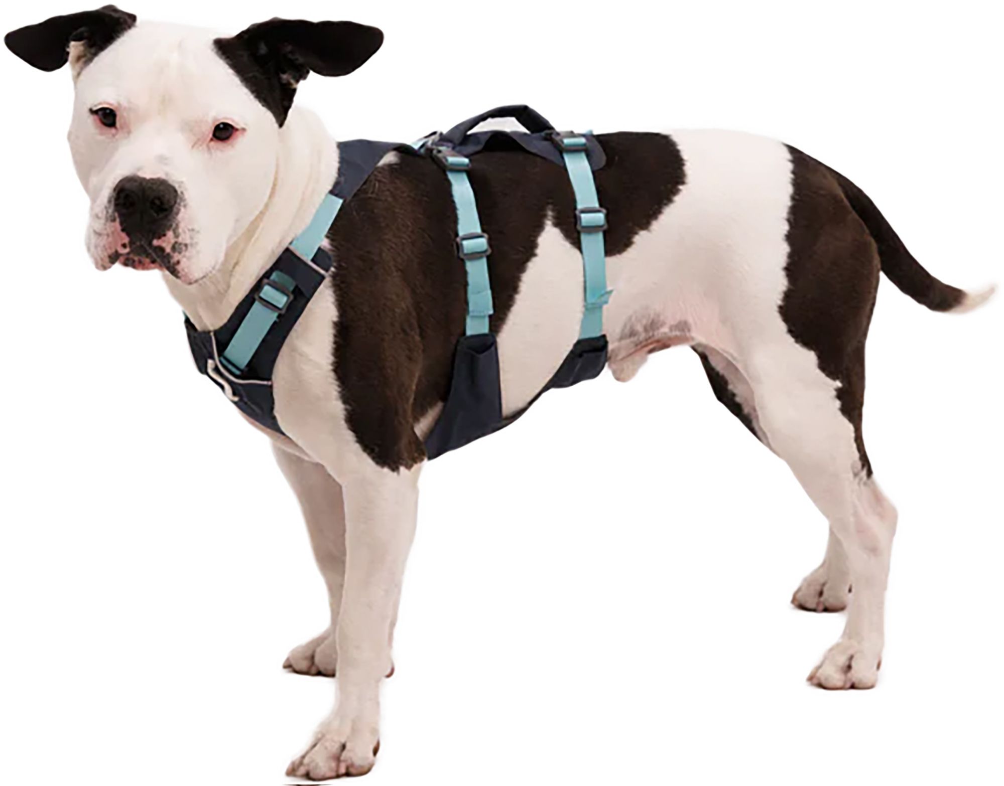 Ruffwear Flagline Dog Harness with Handle product image
