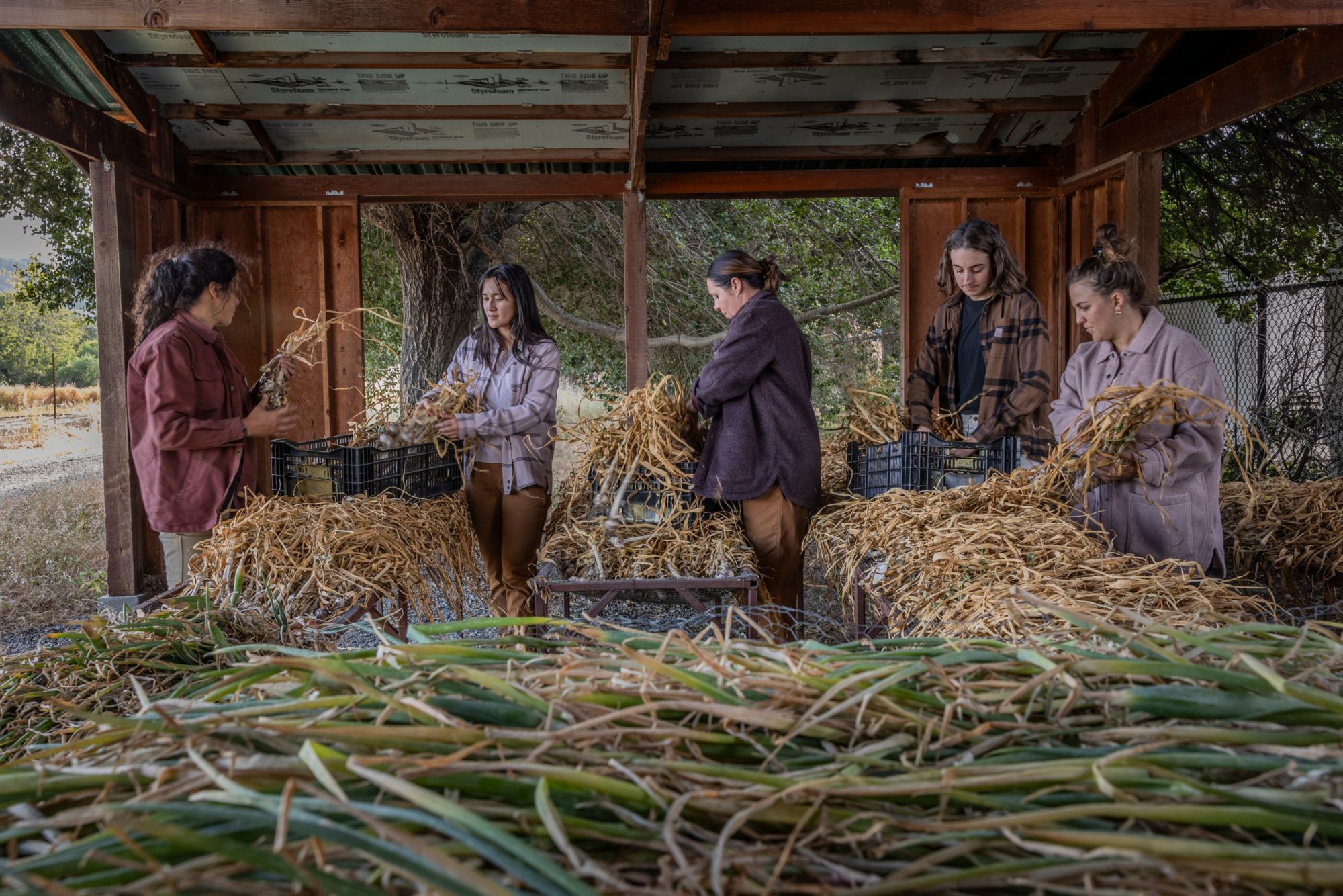 Carhartt Women's Midweight Flannel Shirt product image