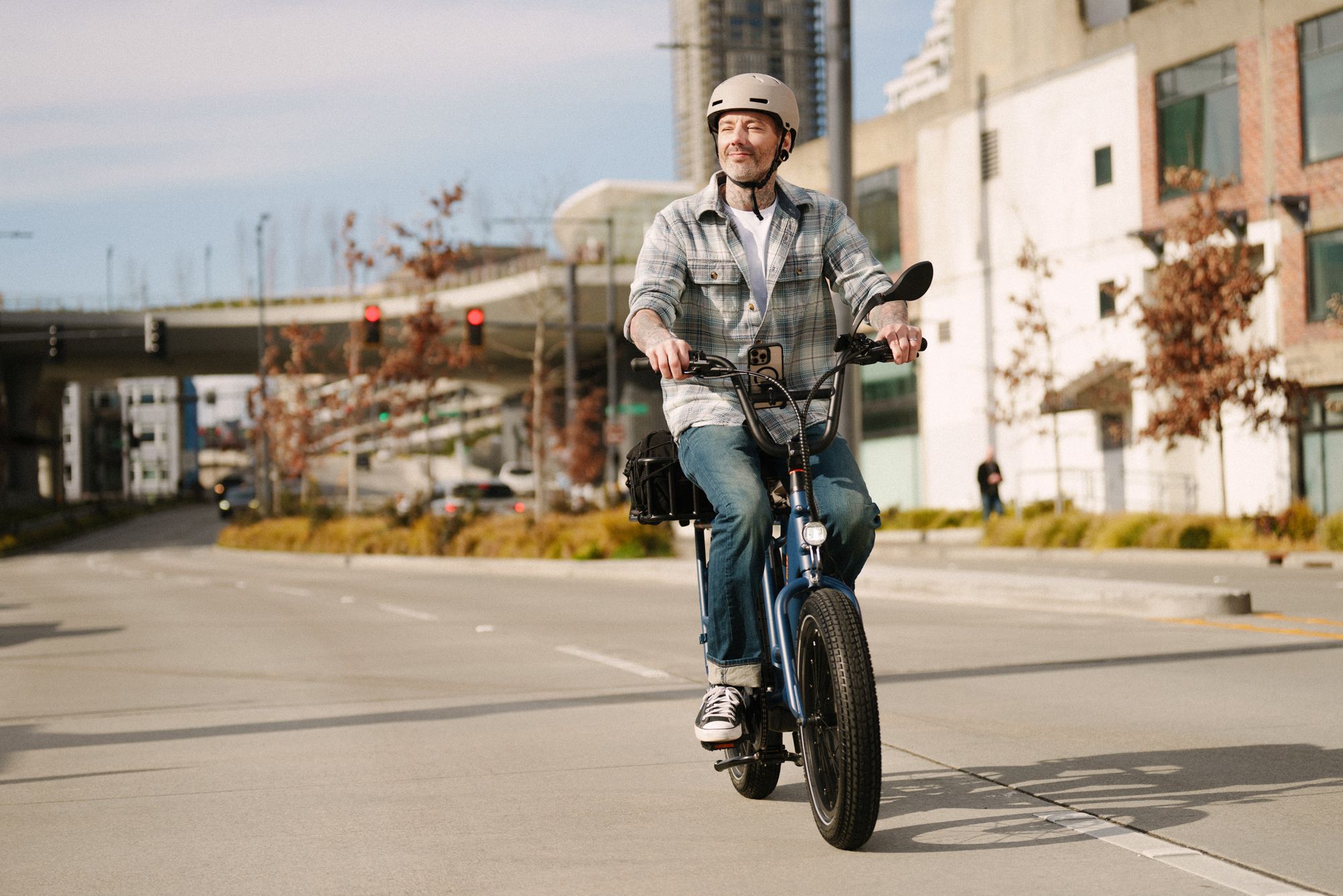 Rad Power Bikes RadRunner Plus Electric Cargo Utility Bike product image