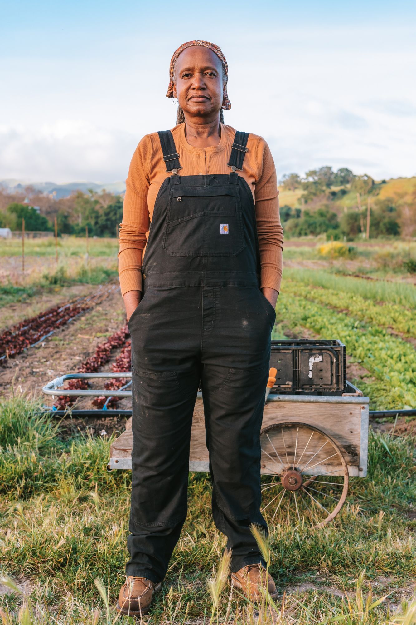 Carhartt Women's Canvas Overalls product image