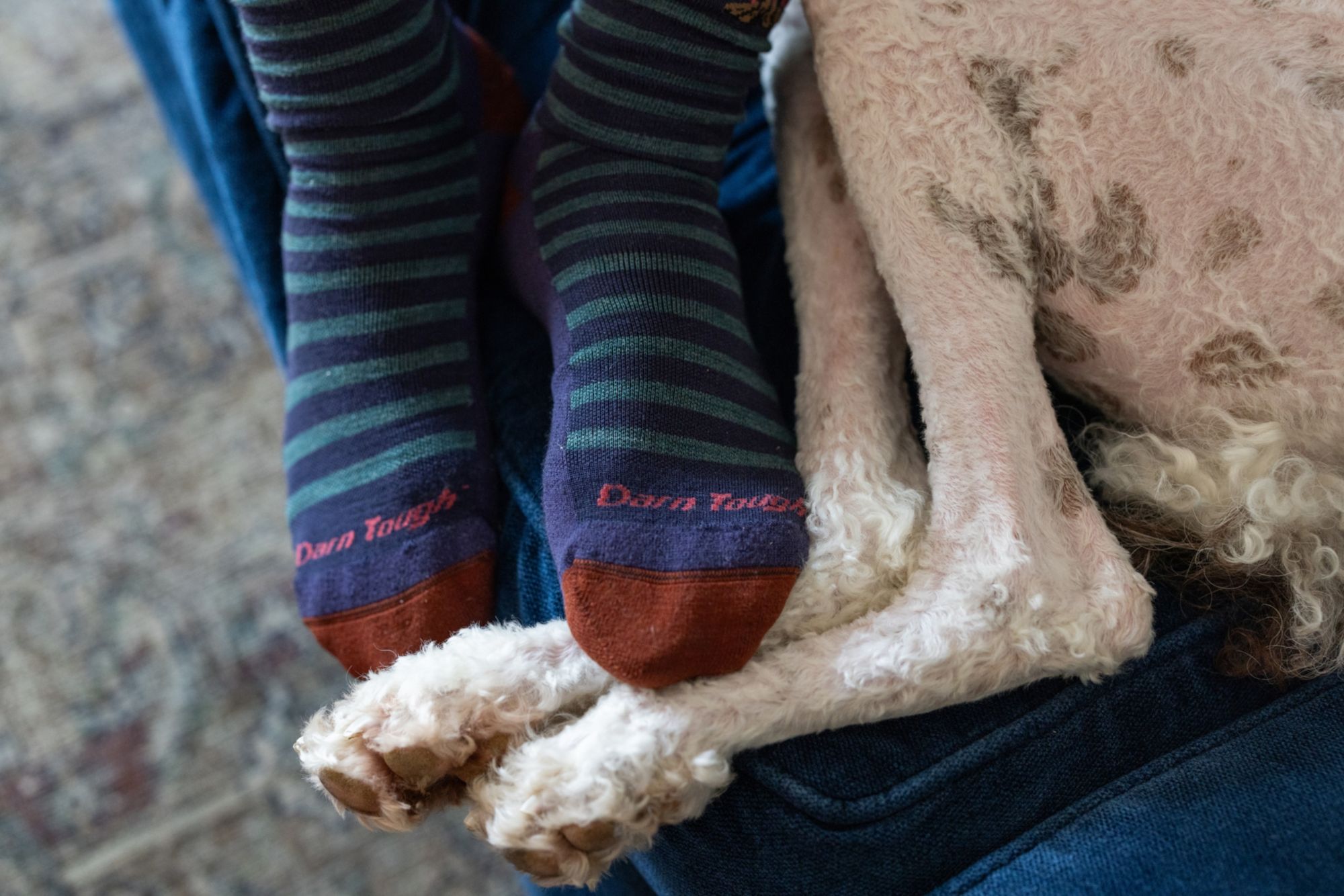 Darn Tough Men's Wild Life Crew Lightweight with Cushion Sock product image